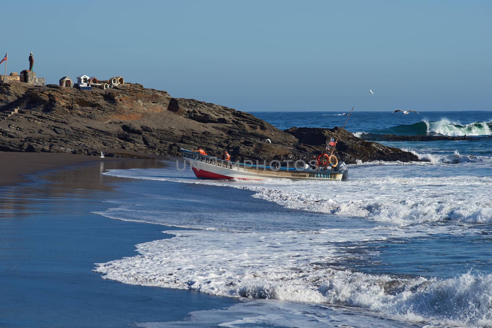 Fishing boat coming ashore on the sandy beach in the fishing village of Curanipe, Chile. Once the boats are beached on the sand, a tractor is used to pull the boats to safer ground.