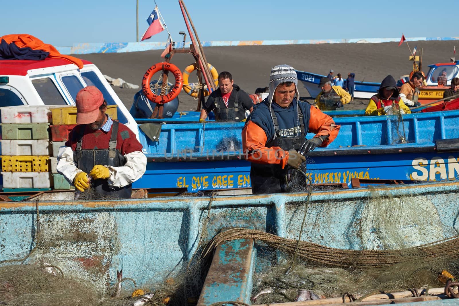 Fishermen removing merluza (pacific hake) from the fishing nets of boats that have recently been pulled out of the sea onto the sandy beach in the fishing village of Curanipe, Chile.