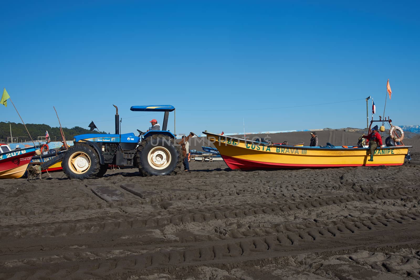 Tractor pulling a fishing boat clear of the sea on the sandy beach in the fishing village of Curanipe, Chile.