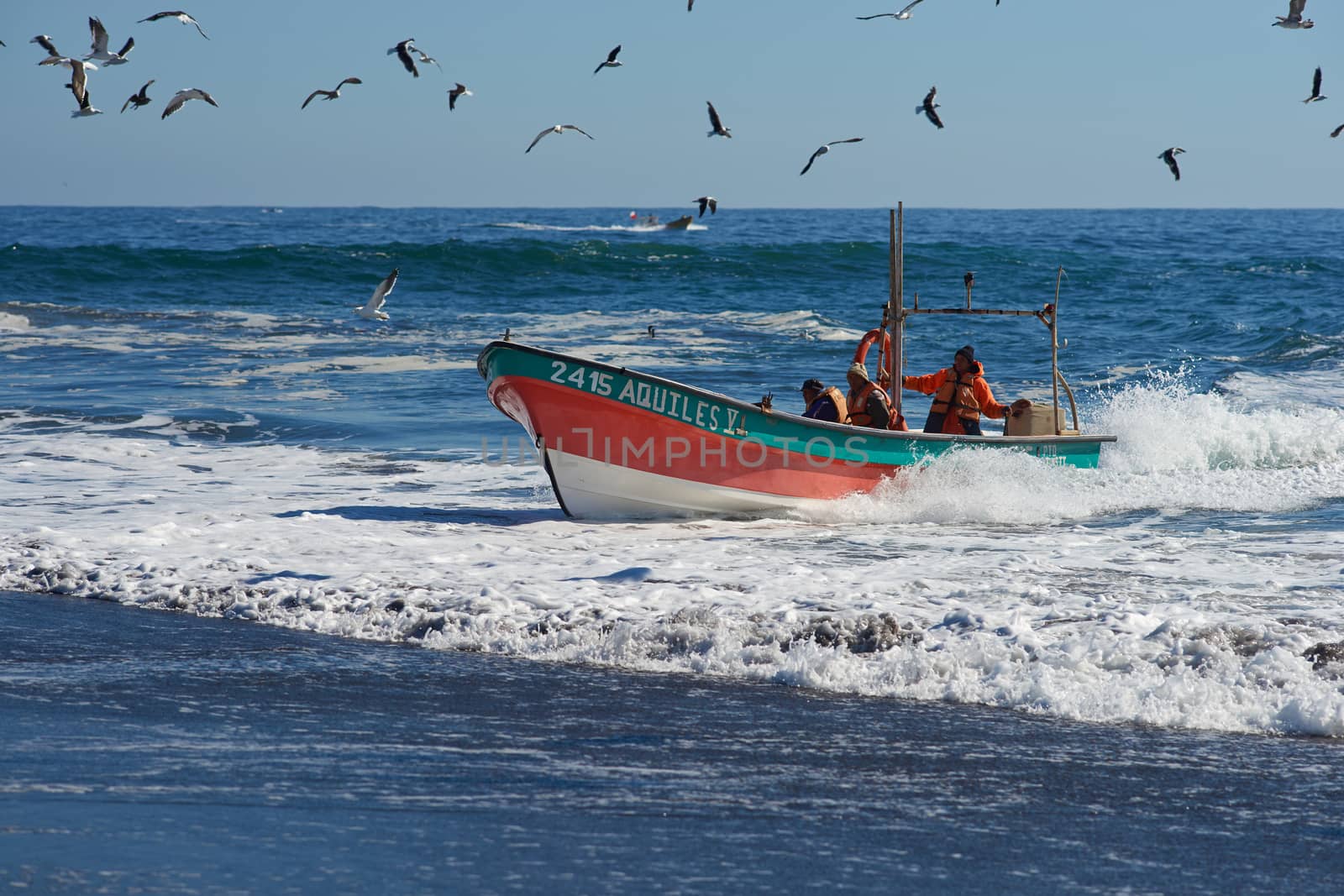Fishing boat coming ashore on the sandy beach in the fishing village of Curanipe, Chile. Once the boats are beached on the sand, a tractor is used to pull the boats to safer ground.