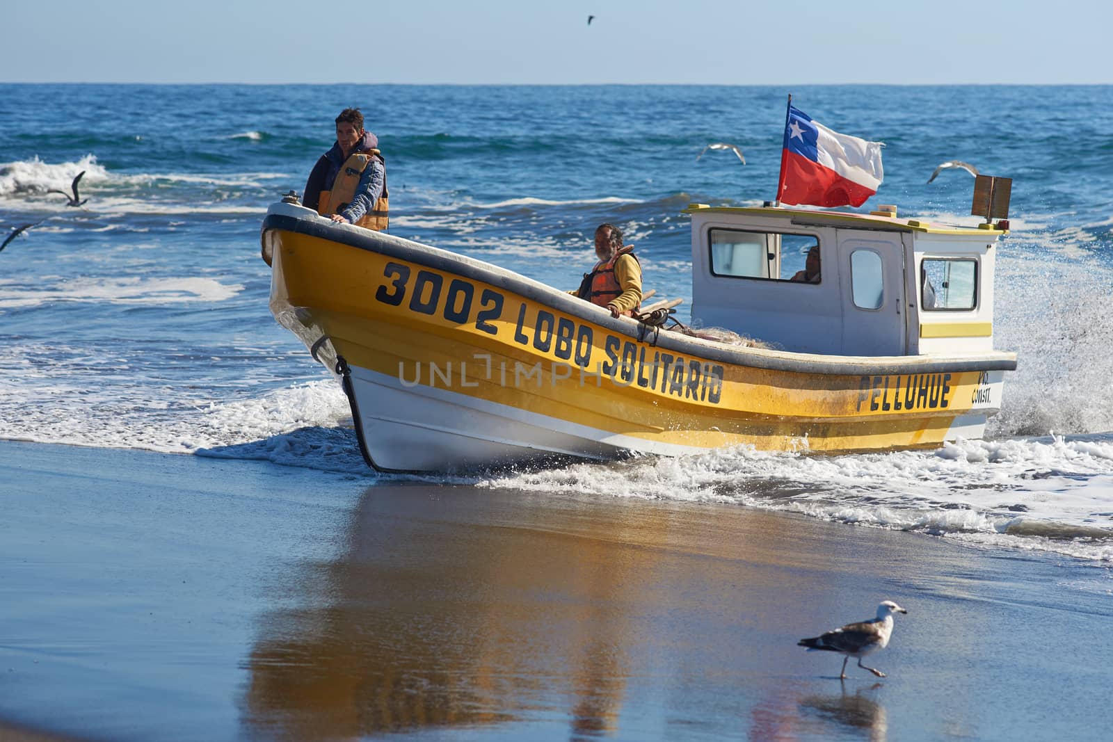 Fishing boat coming ashore on the sandy beach in the fishing village of Curanipe, Chile. Once the boats are beached on the sand, a tractor is used to pull the boats to safer ground.