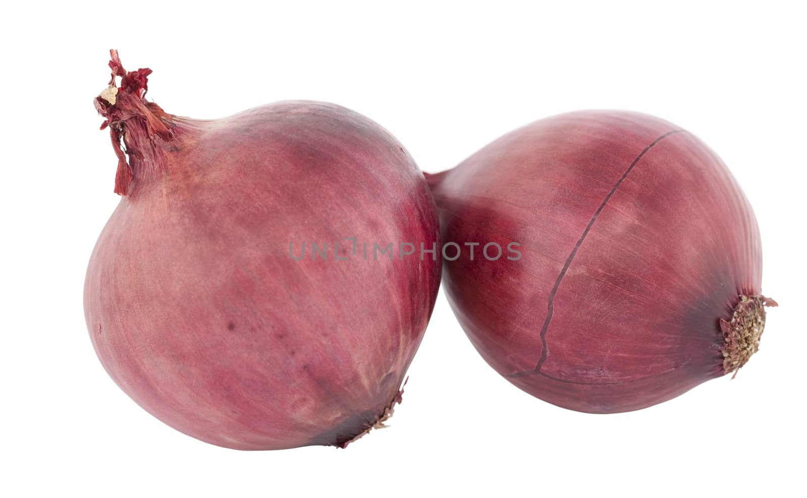 two whole red onion on white background