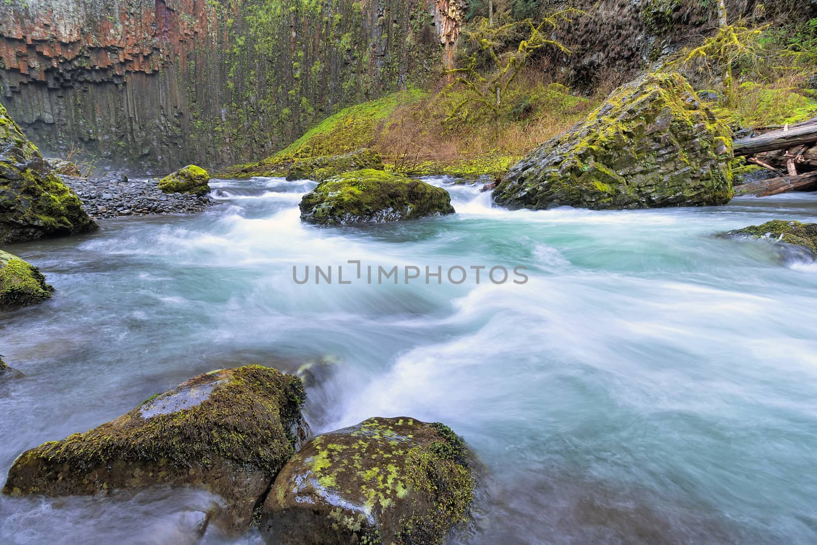 Abiqua Creek in Marion County Oregon in Springtime