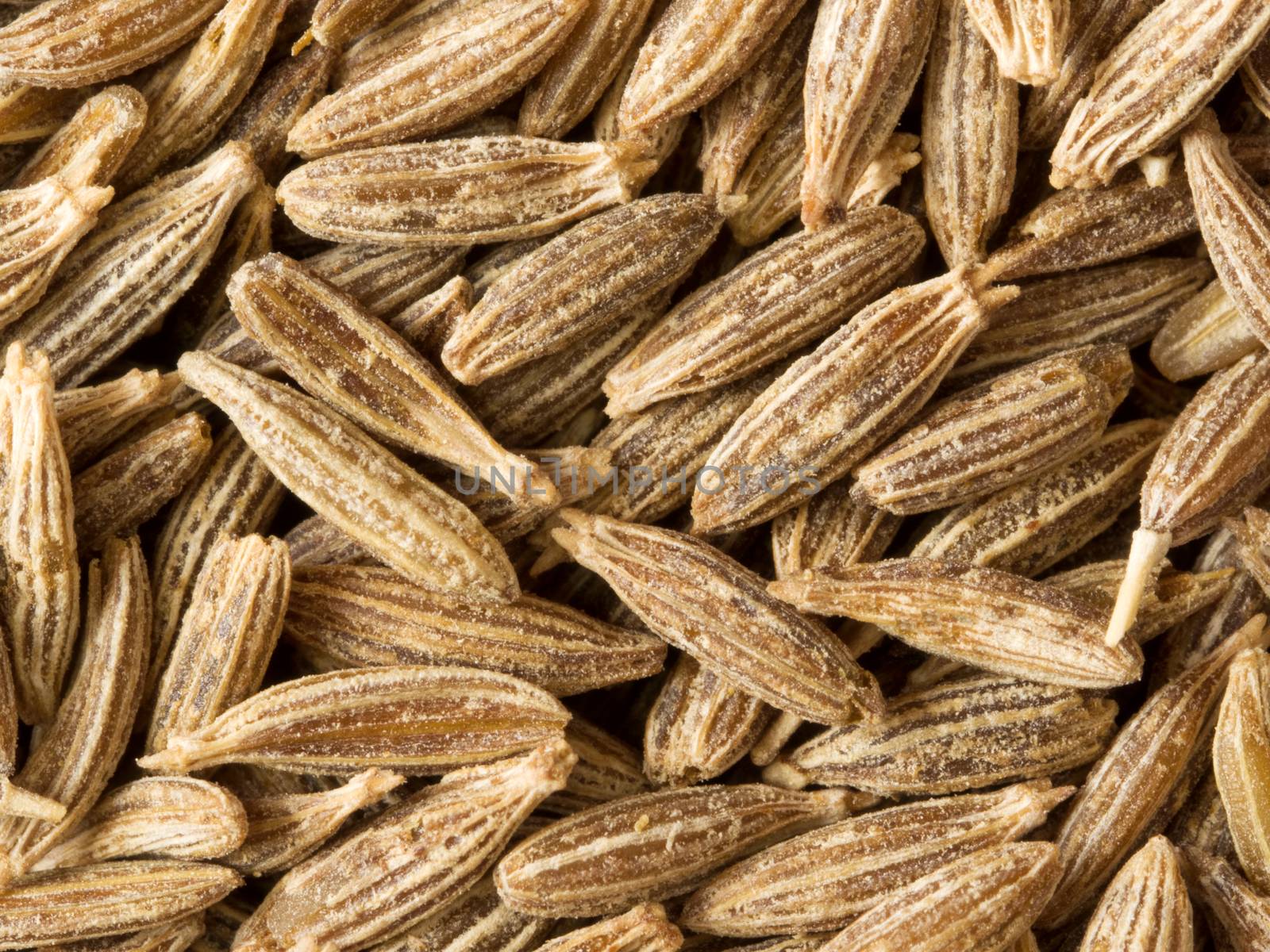 close up of cumin seed food background