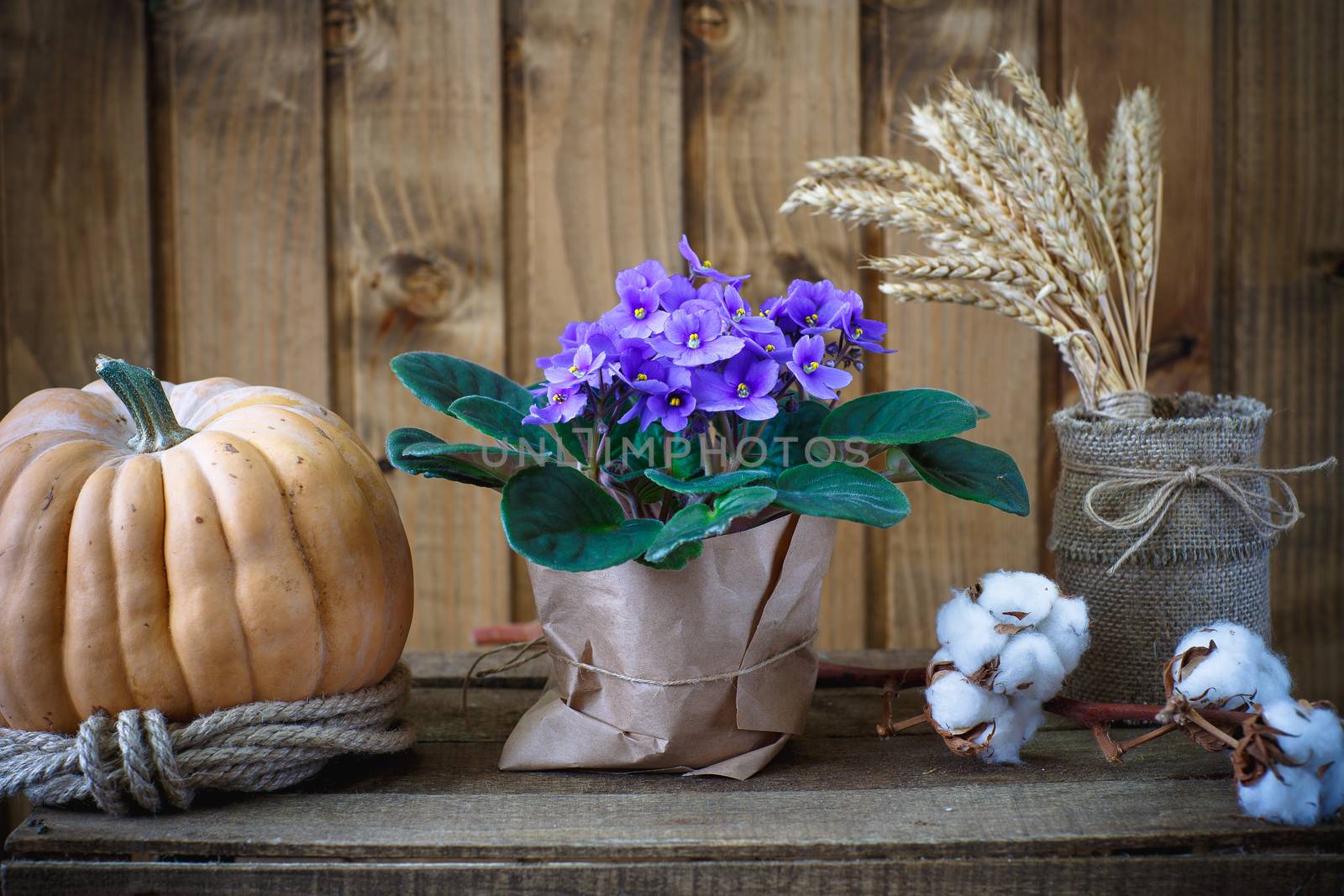 Beautiful flowers on wooden background by mrgarry