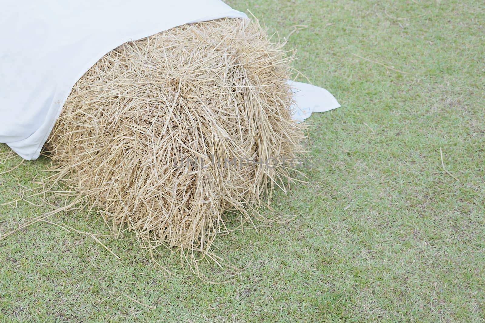 Cluster of straw from dry bamboo leaves with white fabric on green lawn.