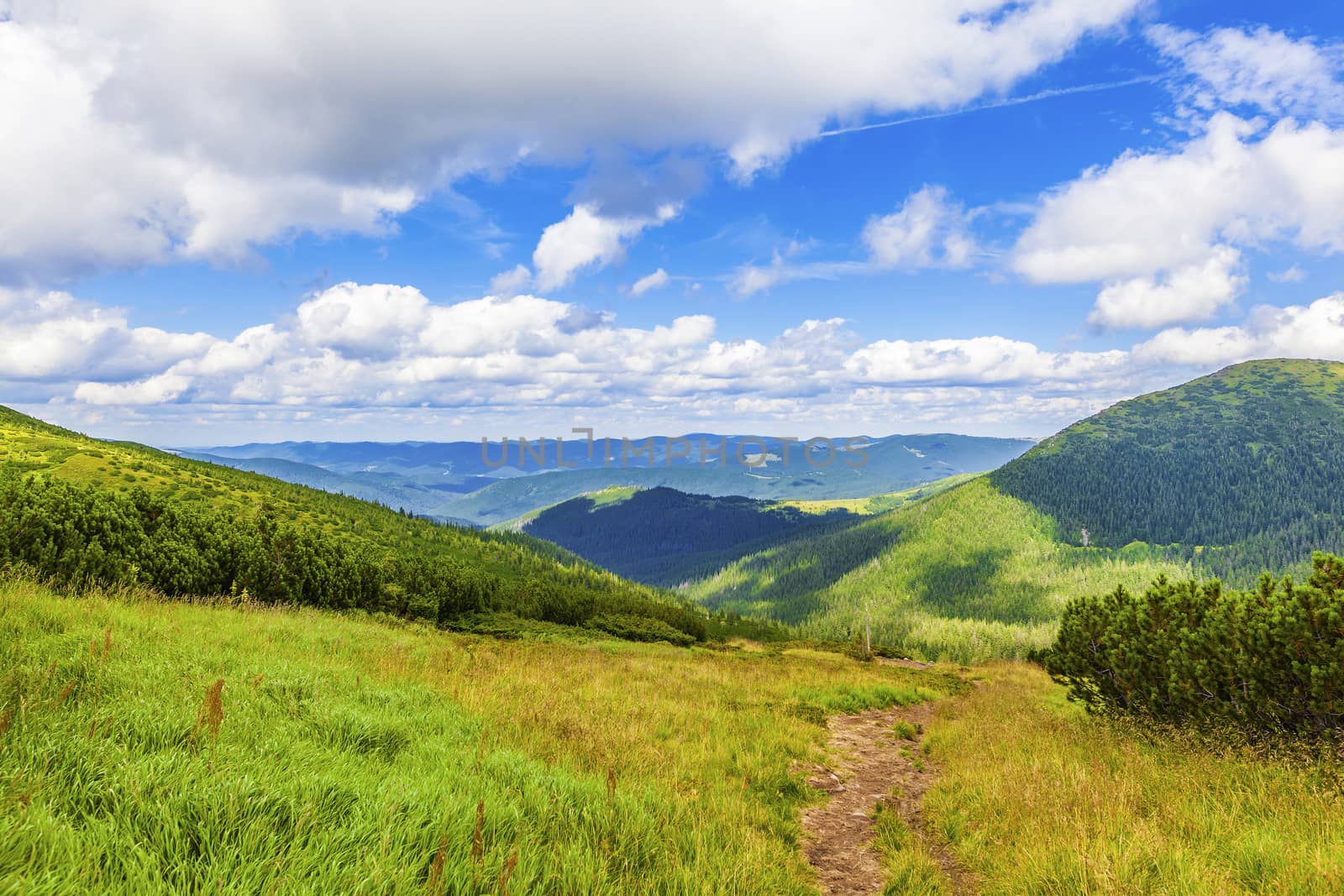 summer landscape of the Montenegrin ridge in Carpathians