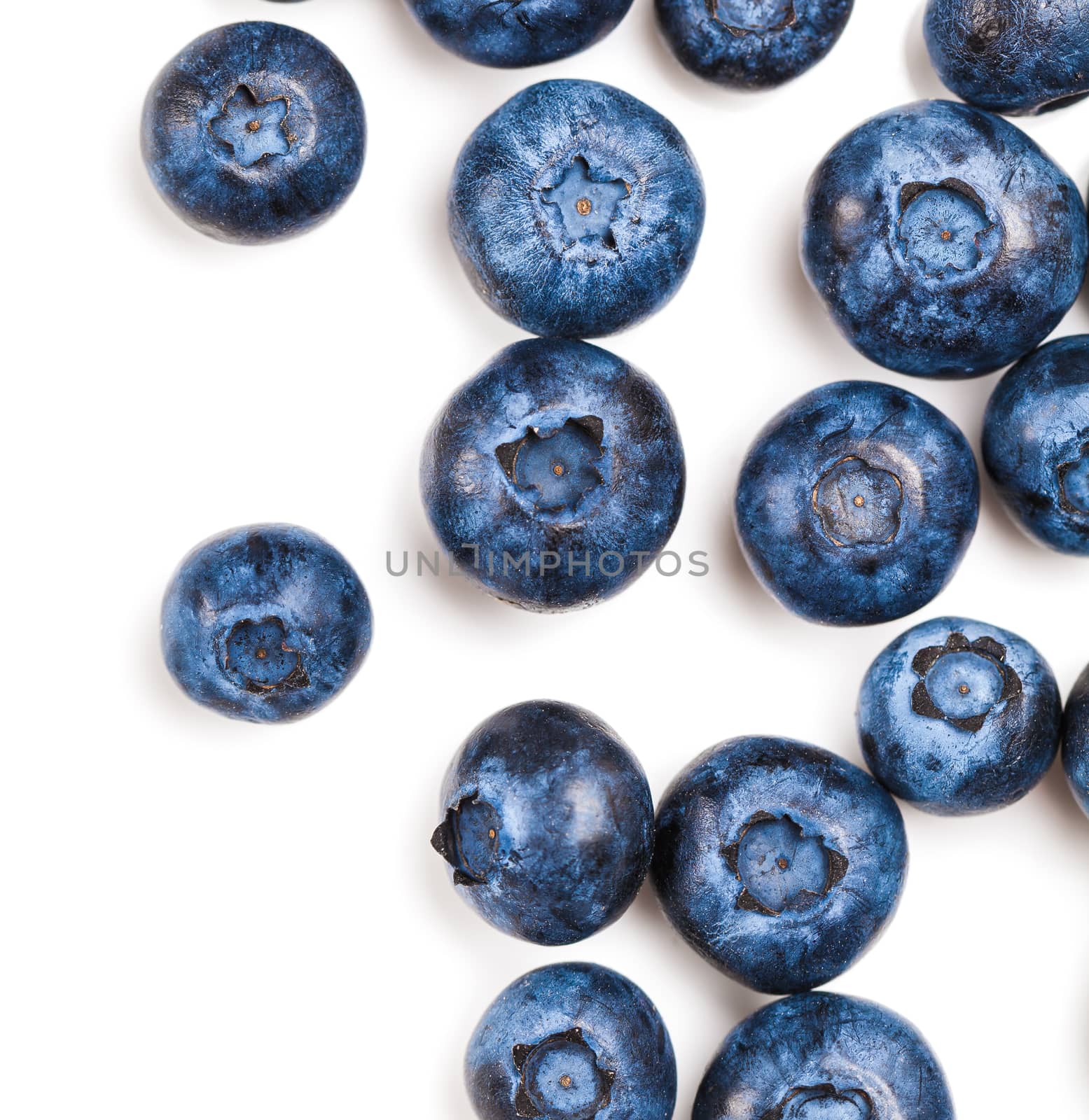 natural fresh blueberries closeup on white background