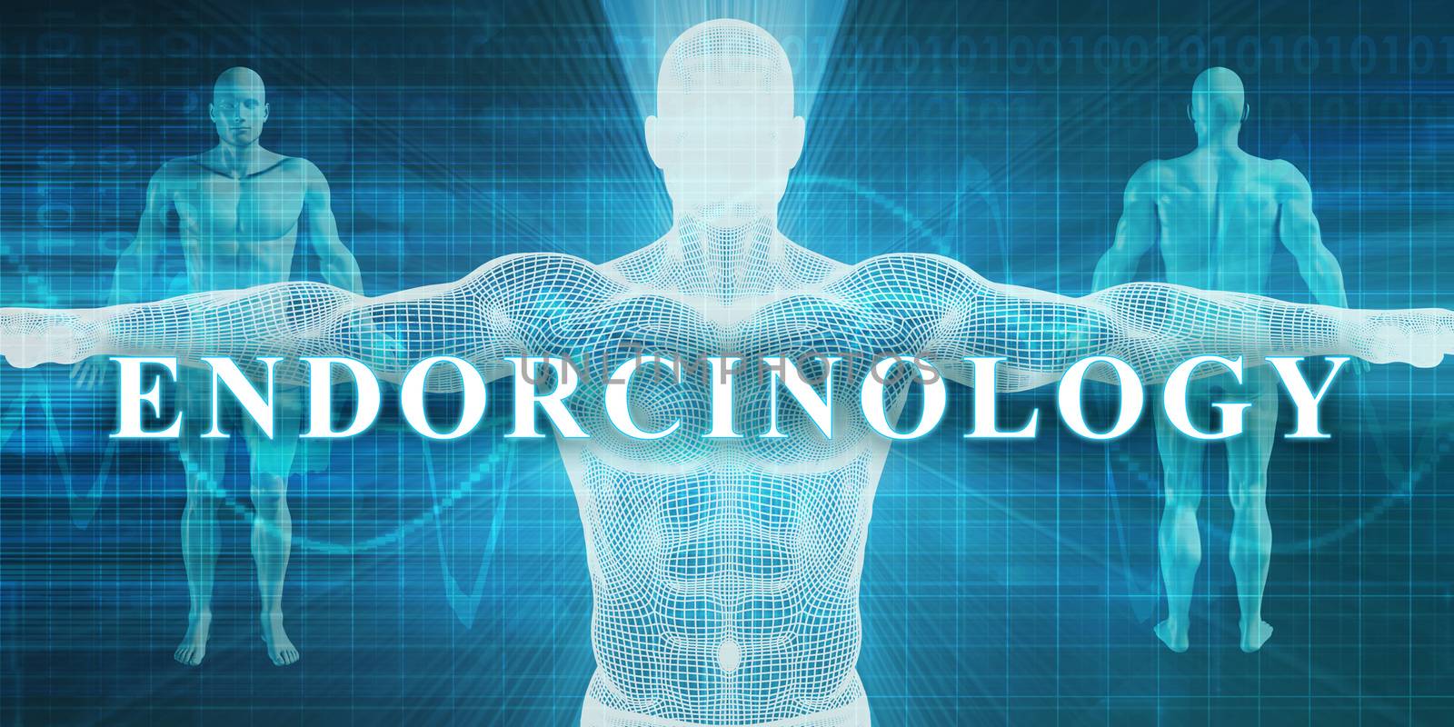Endorcinology as a Medical Specialty Field or Department