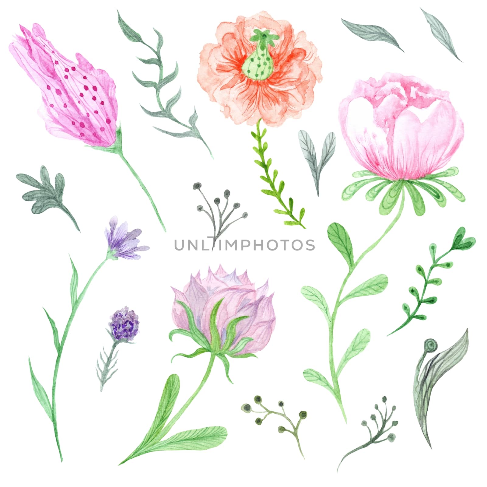 Beautiful collection of tender hand-painted eco floral elements  and plants for wedding, invitation, card design