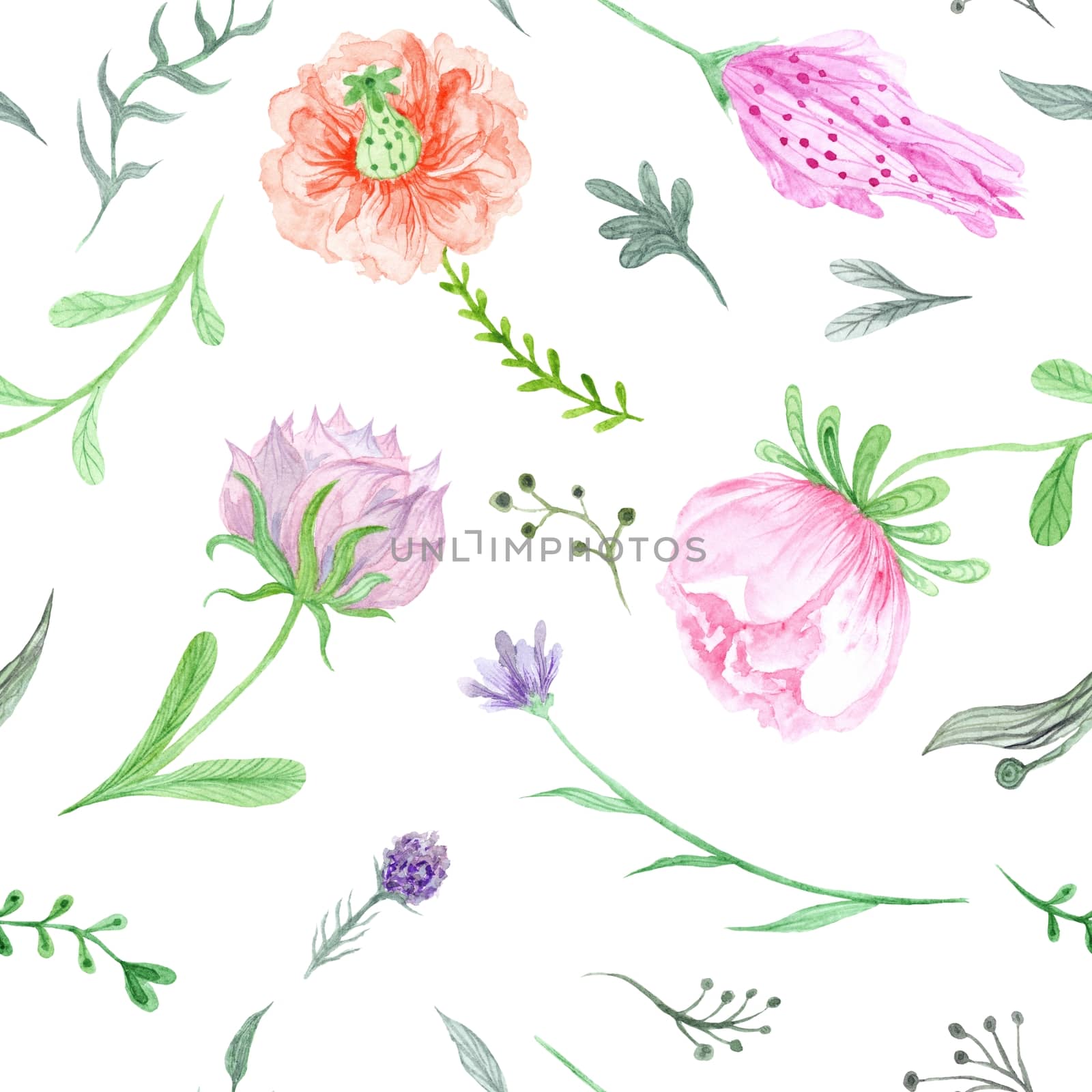 Seamless eco texture with wild flowers and herbs on white background for wallpaper, card, textile design