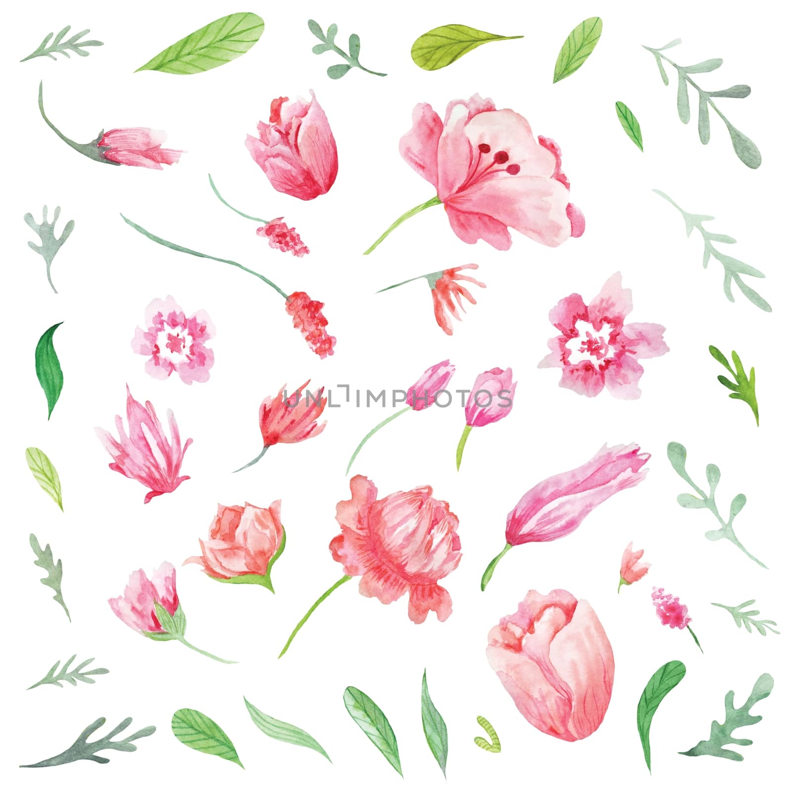 Beautiful collection of tender hand-painted eco floral elements  and plants for wedding, invitation, card design