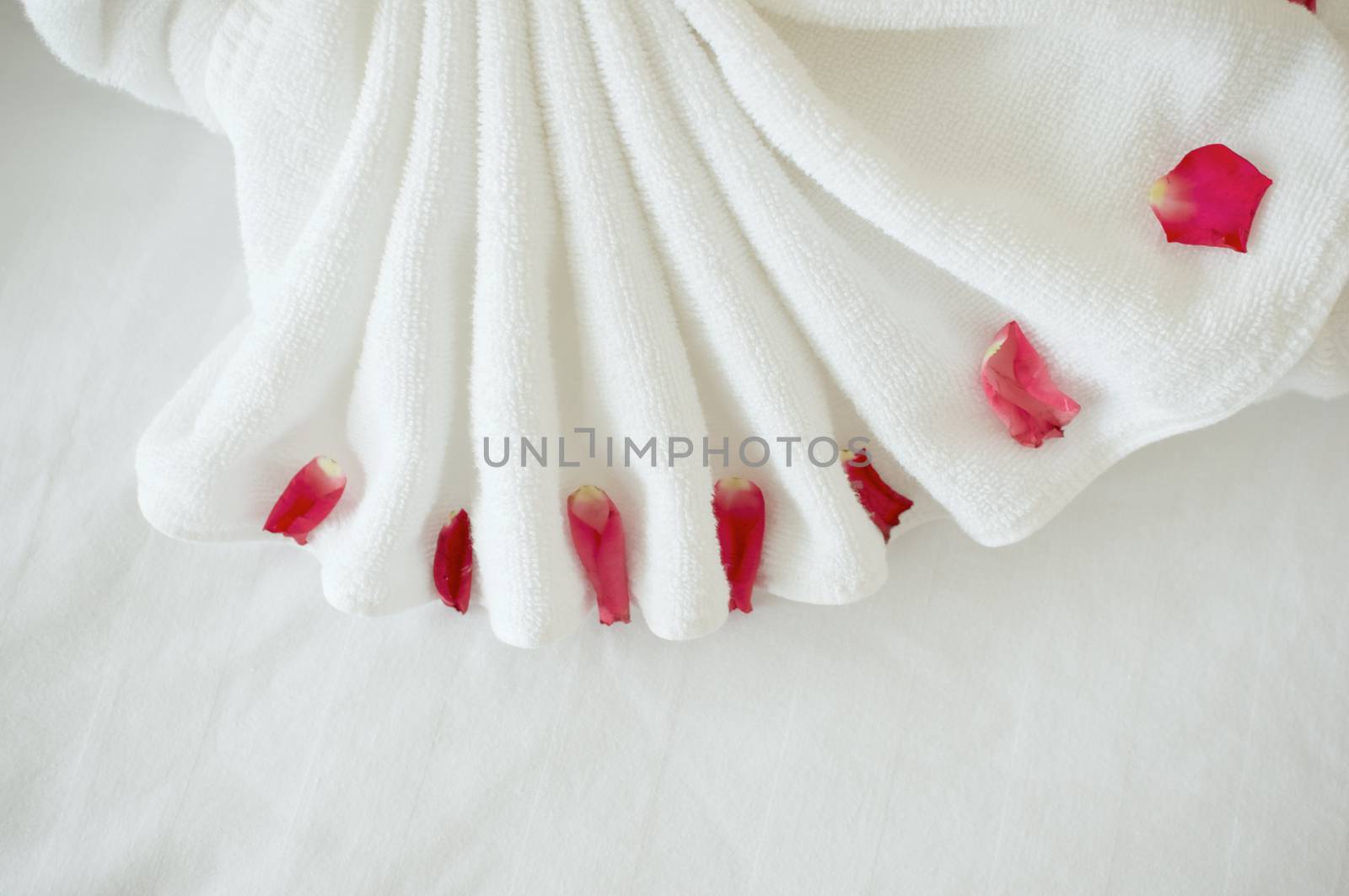 White towel plait as tail of swan with petal red rose on white bed in hotel room.