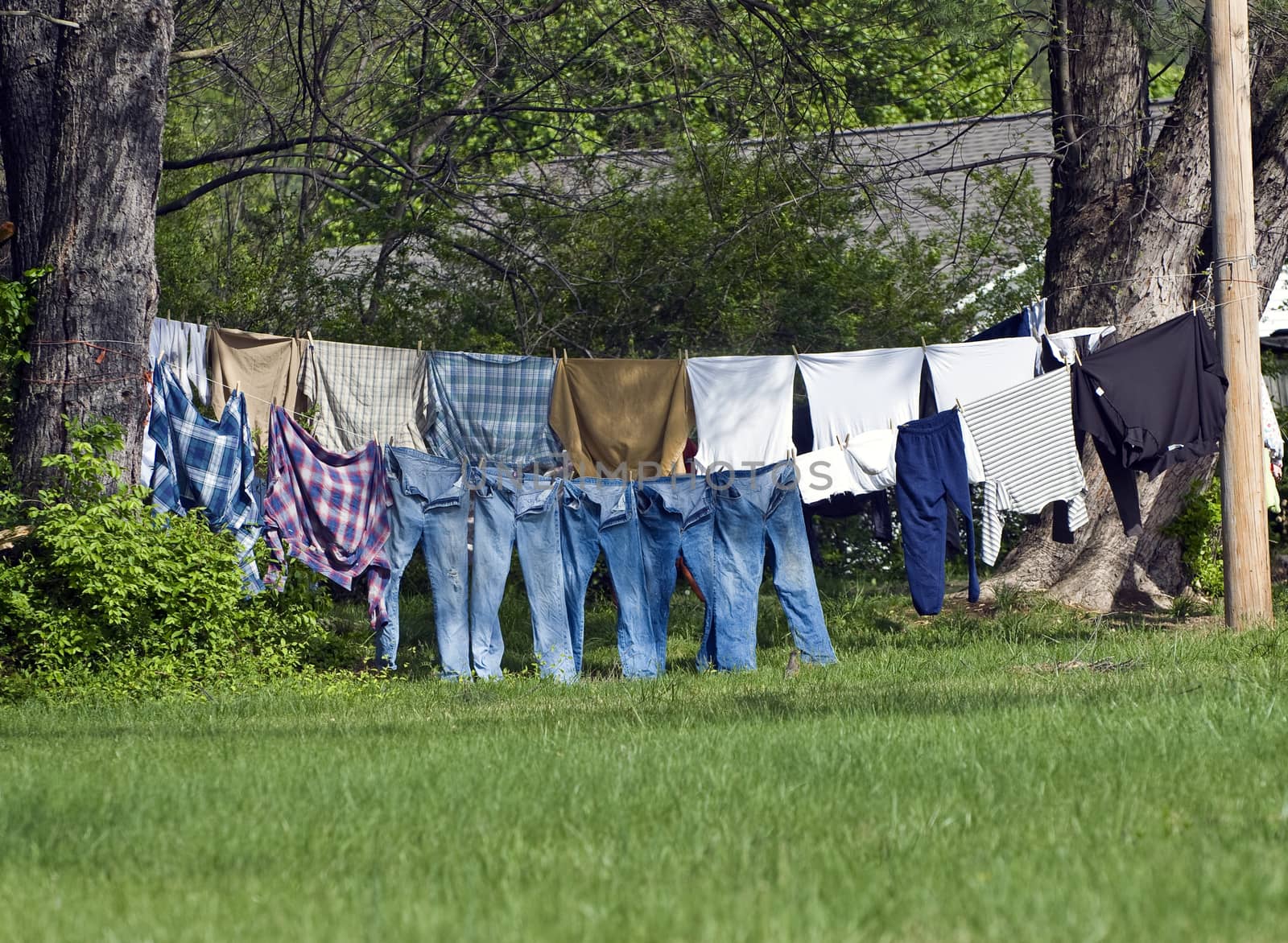 Clean laundry hanging outside on clothesline
