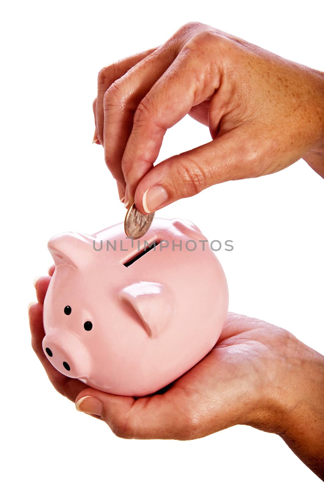 Hand Putting Savings Into Piggy Bank by stockbuster1