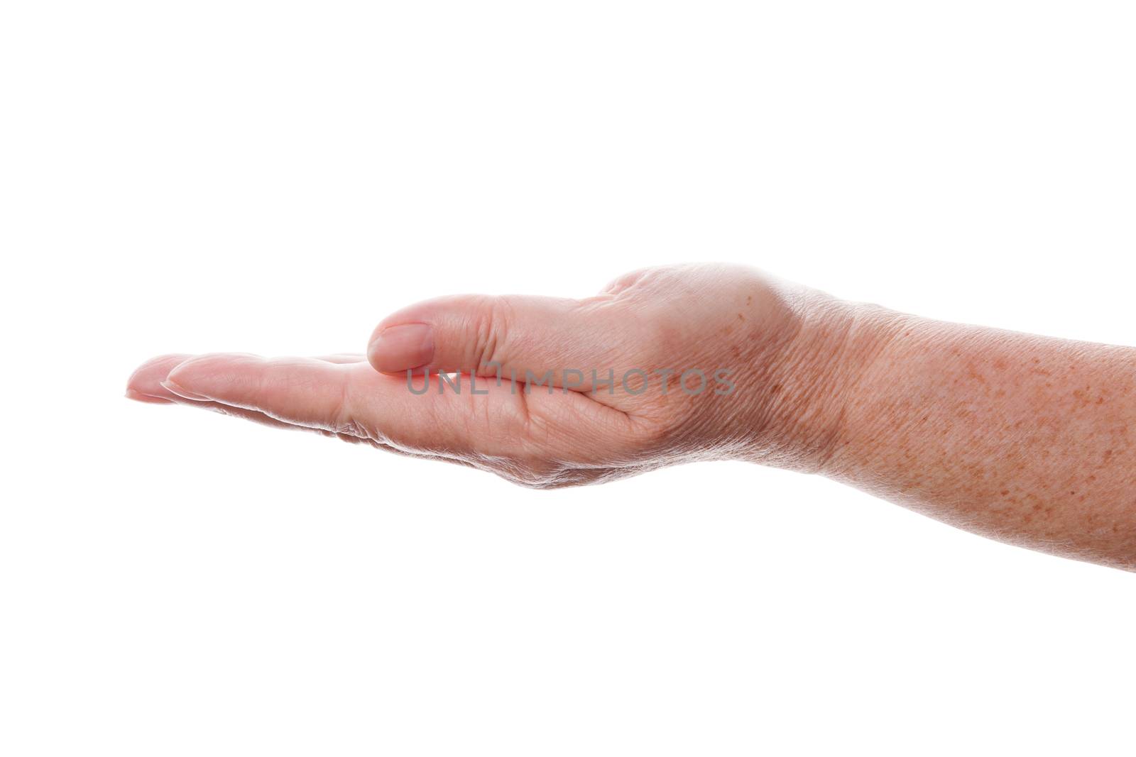 Old wrinkled open female hand isolated on white background. Giving and receiving concept. 