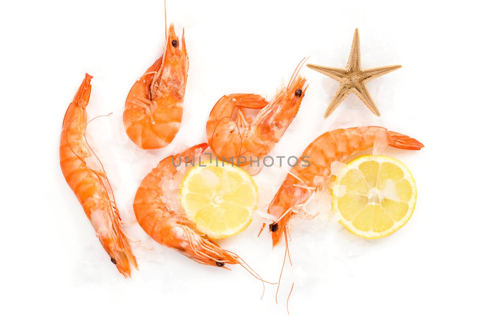 Shrimp background with copyspace. Fresh shrimp with lemon on ice on white background top view.