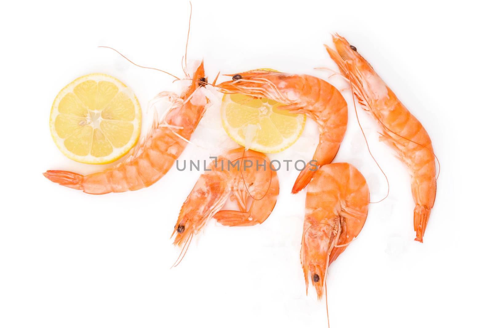 Shrimp background with copyspace. Fresh shrimp with lemon on ice on white background top view.