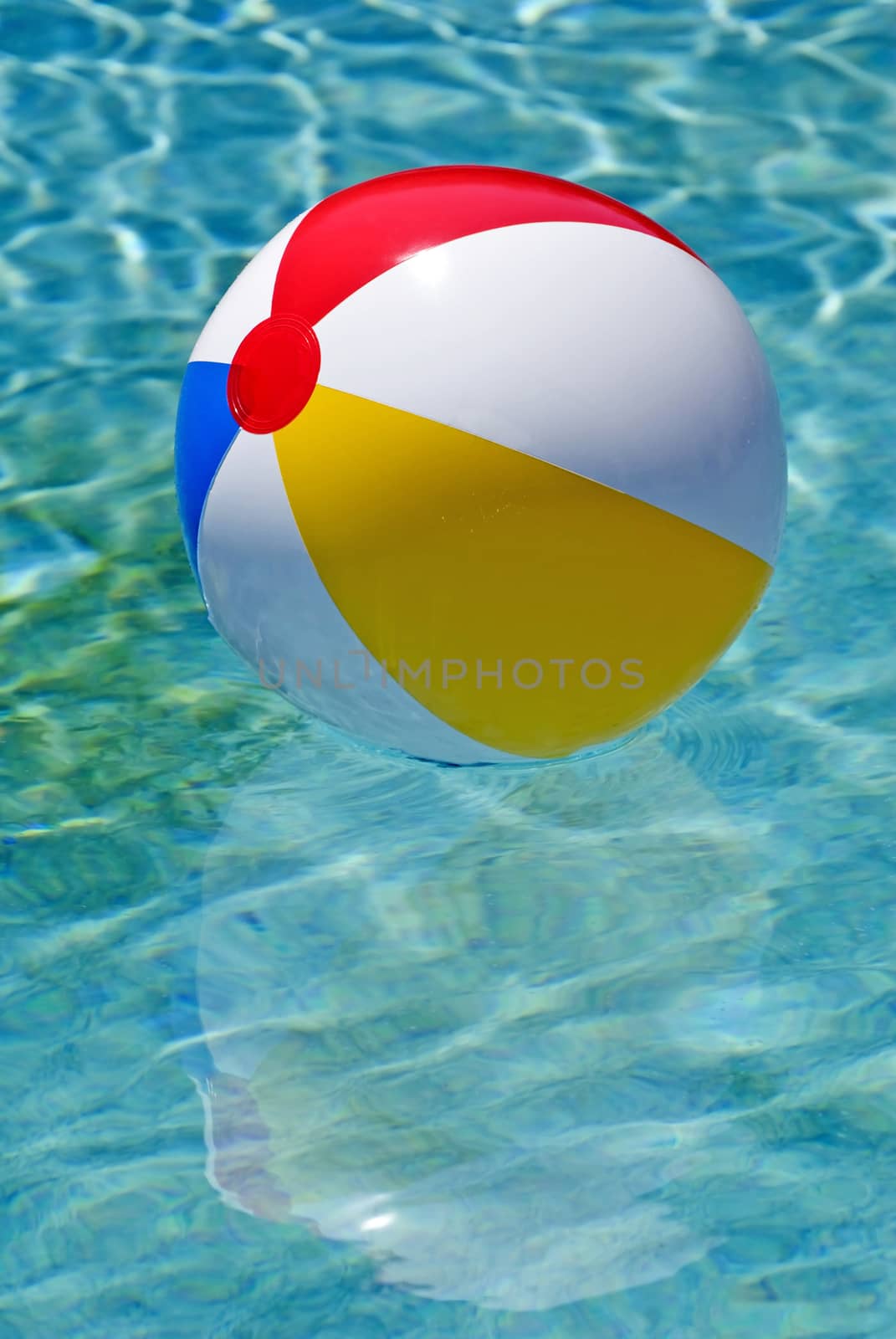 Vertical shot of a multi colored beach ball floating in swimming pool.