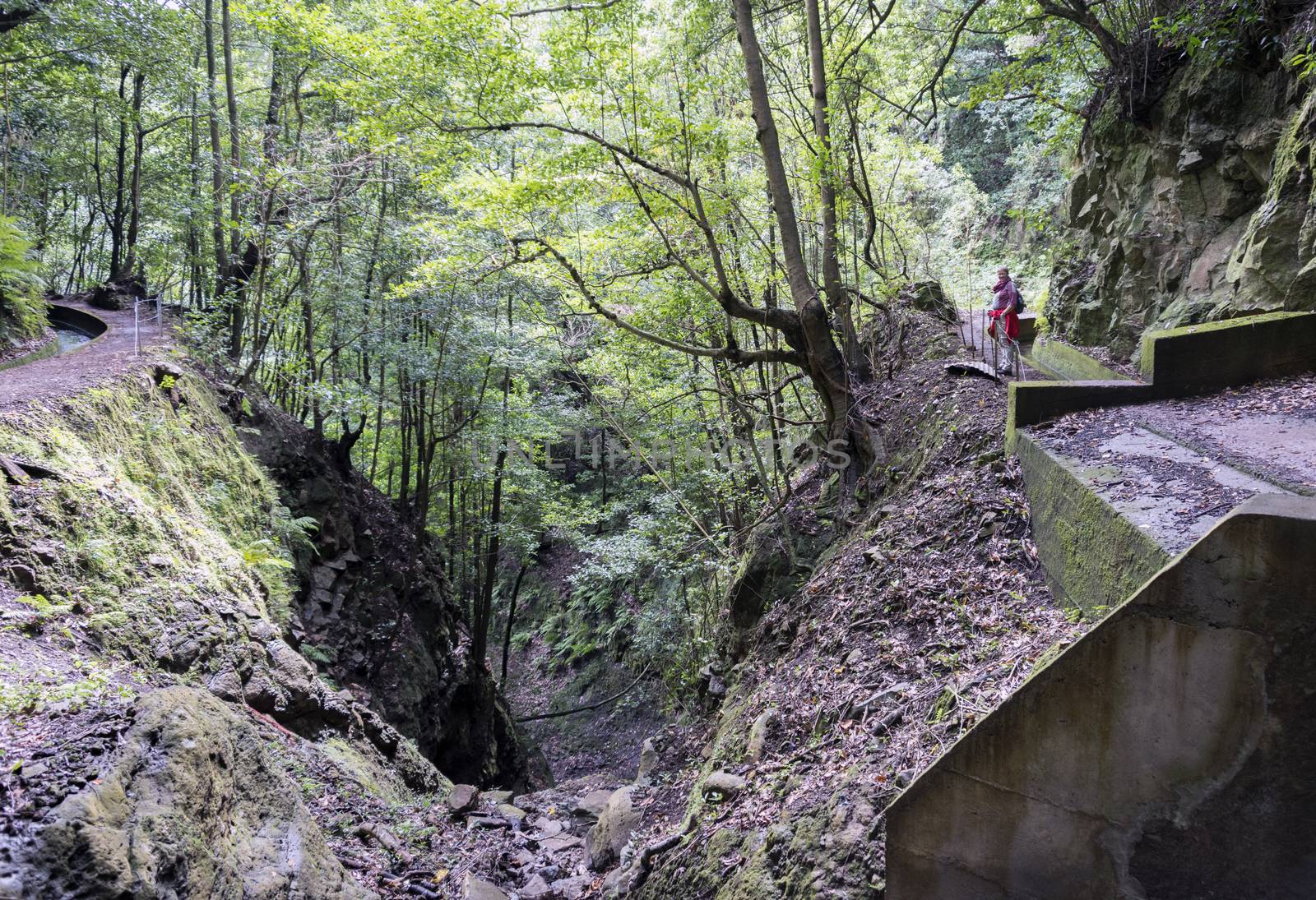 woman on levada walking track  on the portugal island of Madeira, this is Lamaceiros Ribeira da Janala