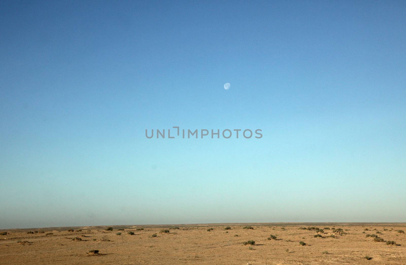 Sahara desert