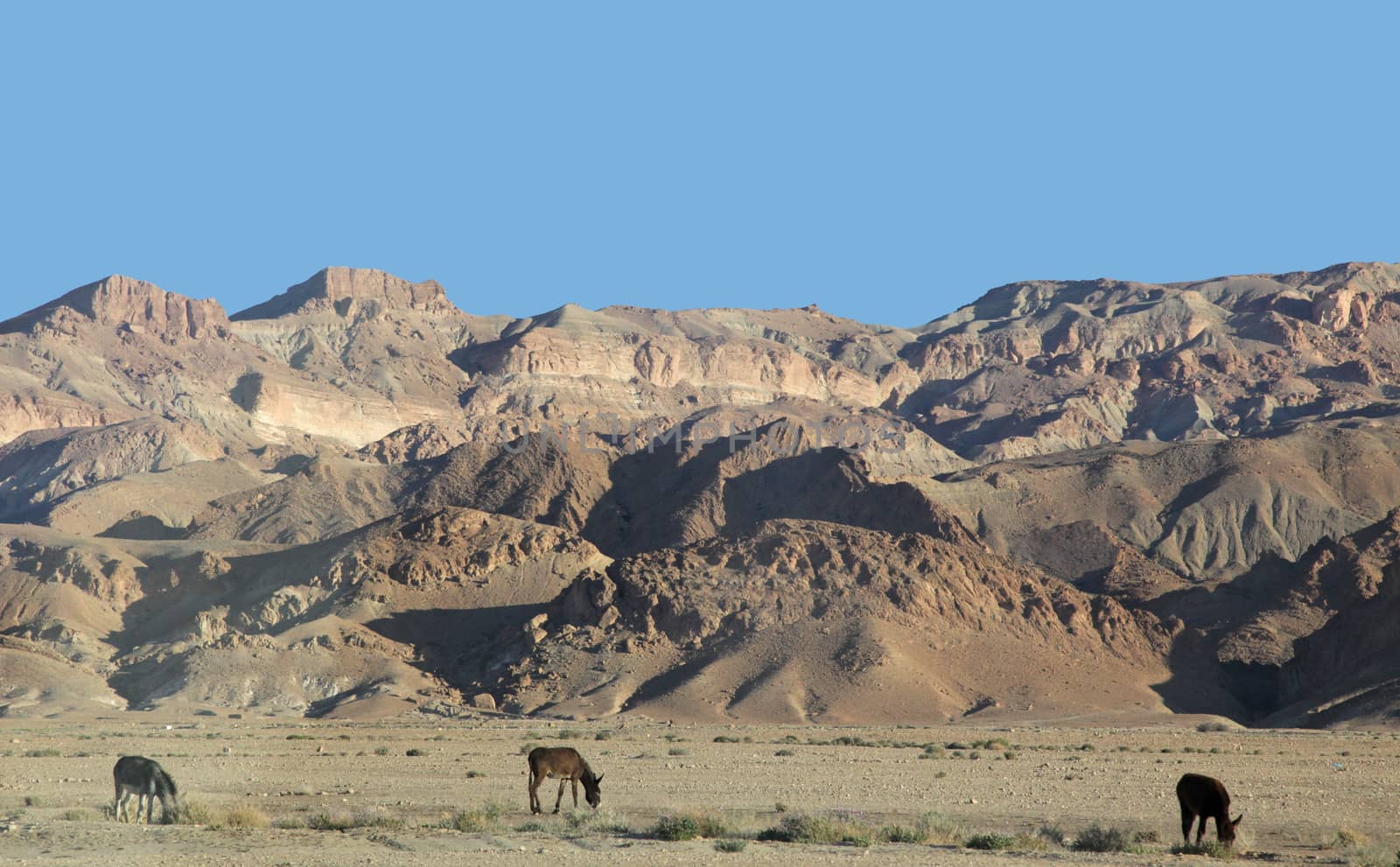 Atlas mountains