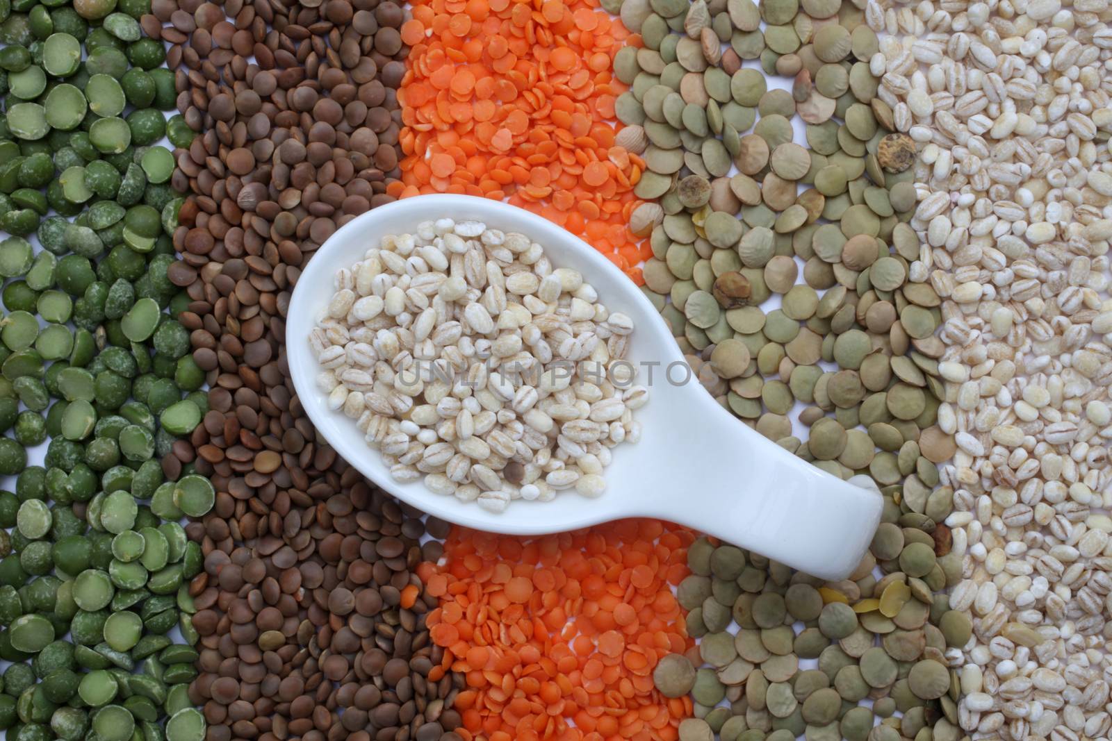 Ceramic spoon with pearl barley over seeds and grains background