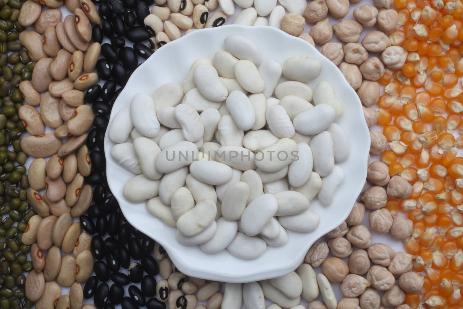 Ceramic plate with white beans over seeds and grains background