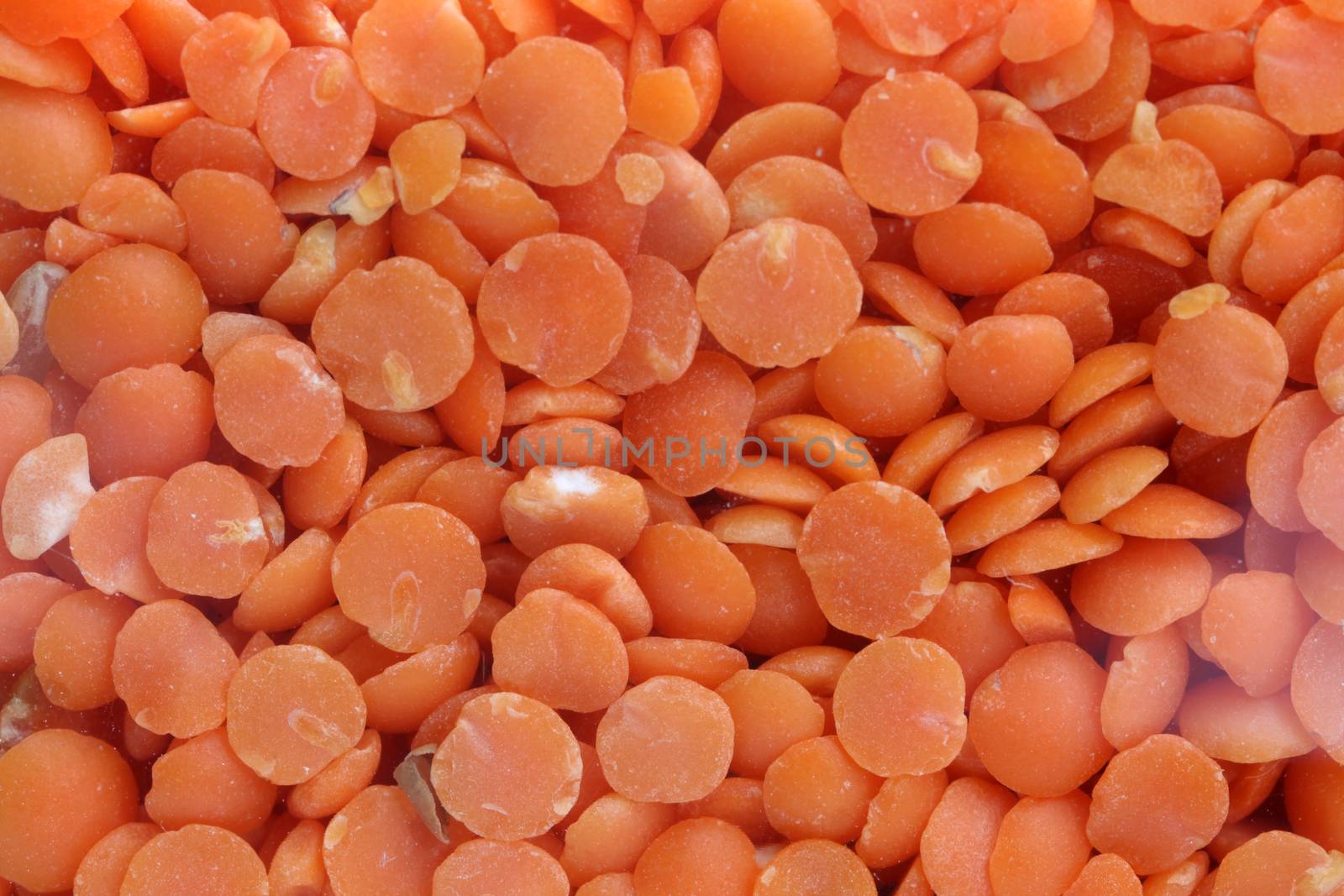 Background of red the lentils