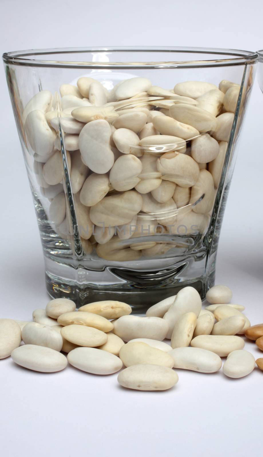 White beans close up