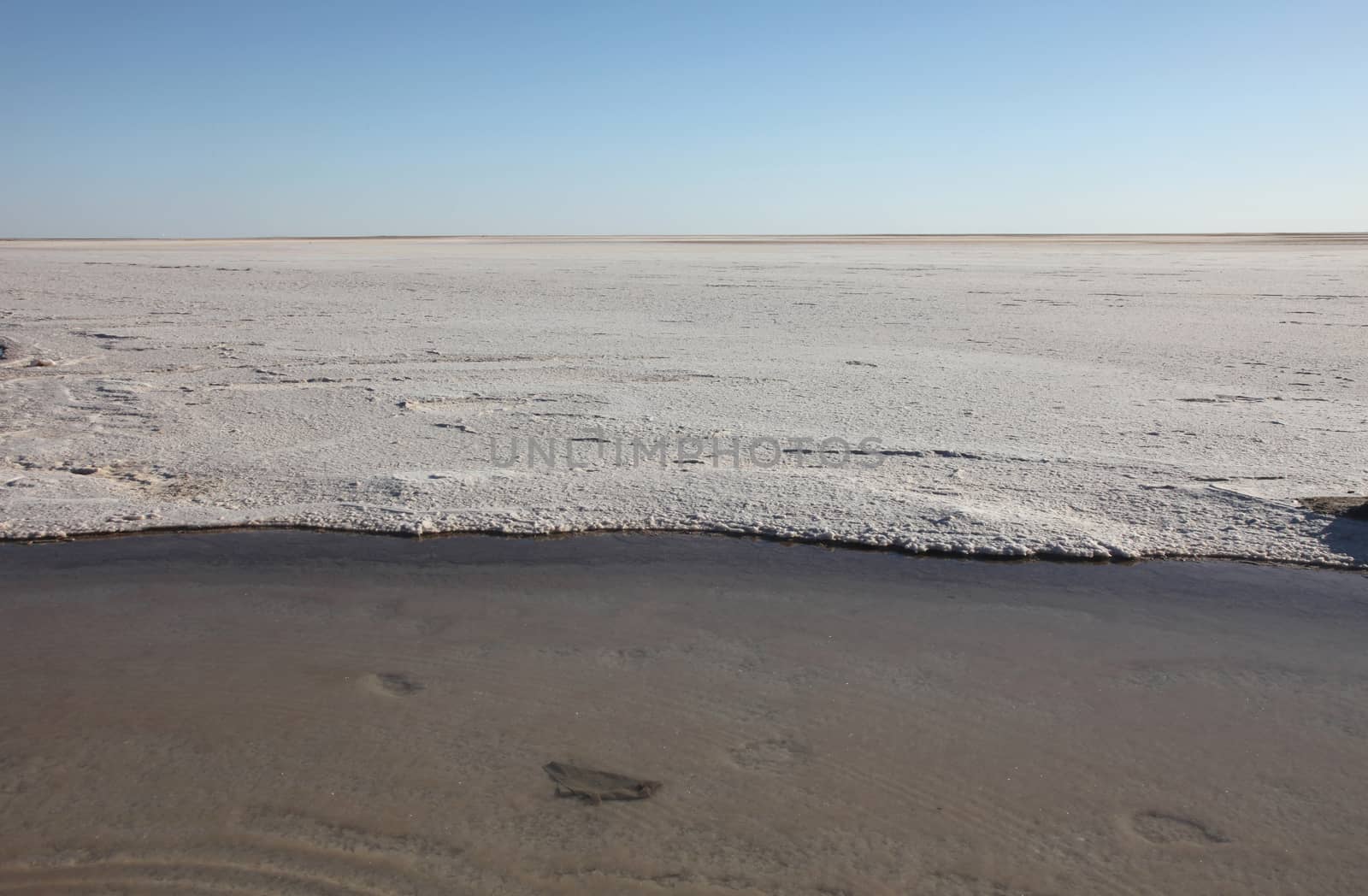 Chott el Djerid (biggest salt lake in north Africa), Tunisia