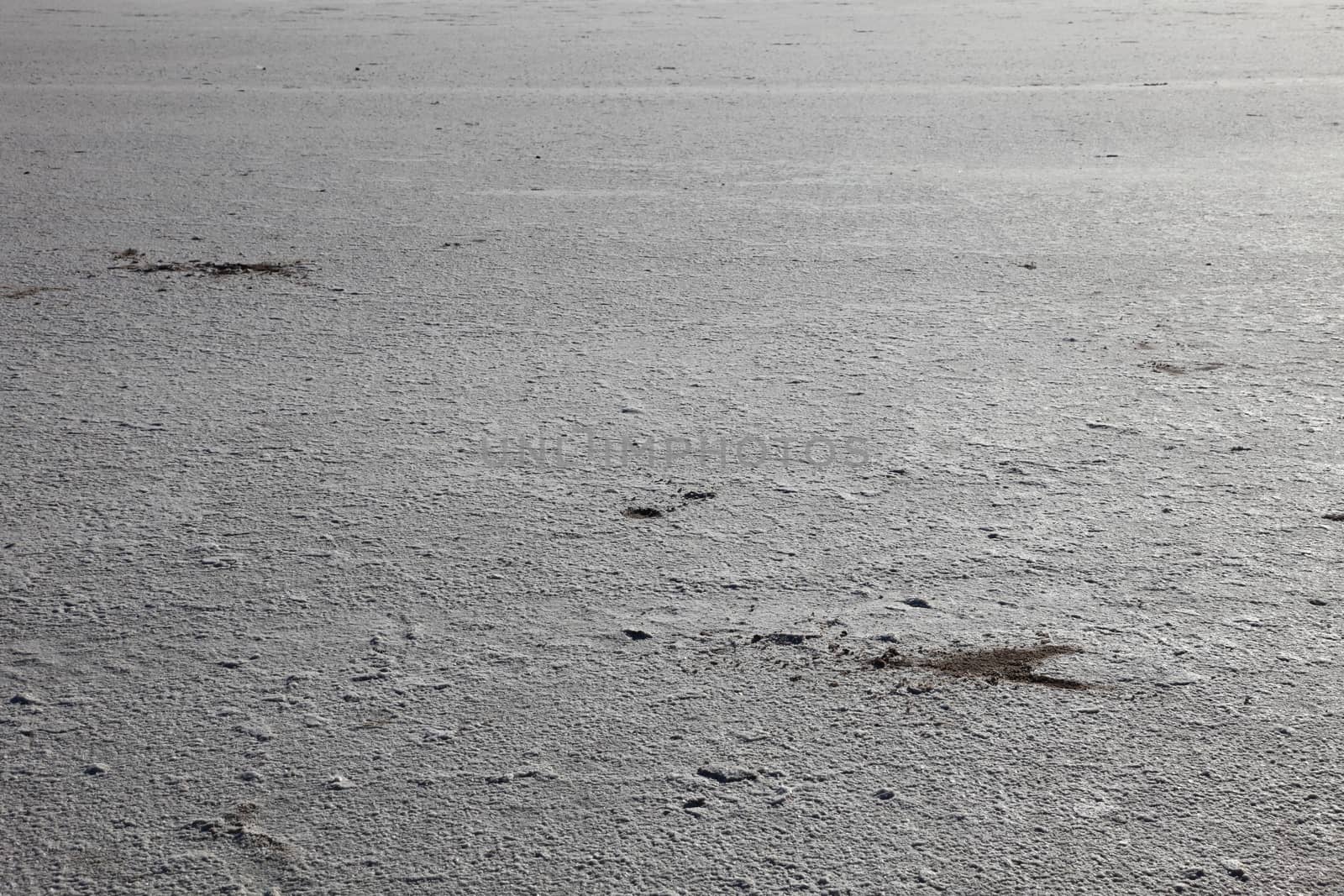 Chott el Djerid (biggest salt lake in north Africa), Tunisia