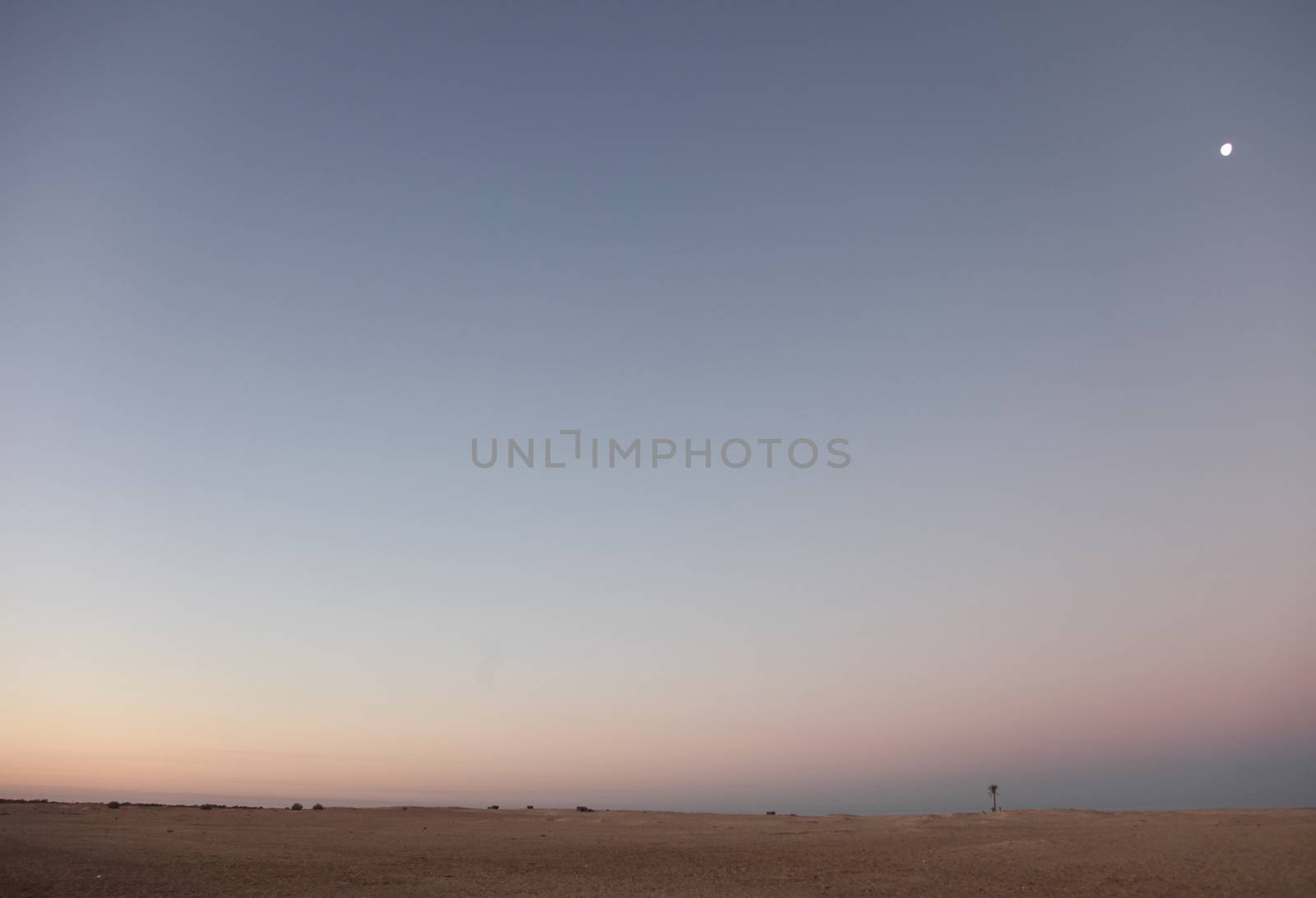 Morning in Sahara desert