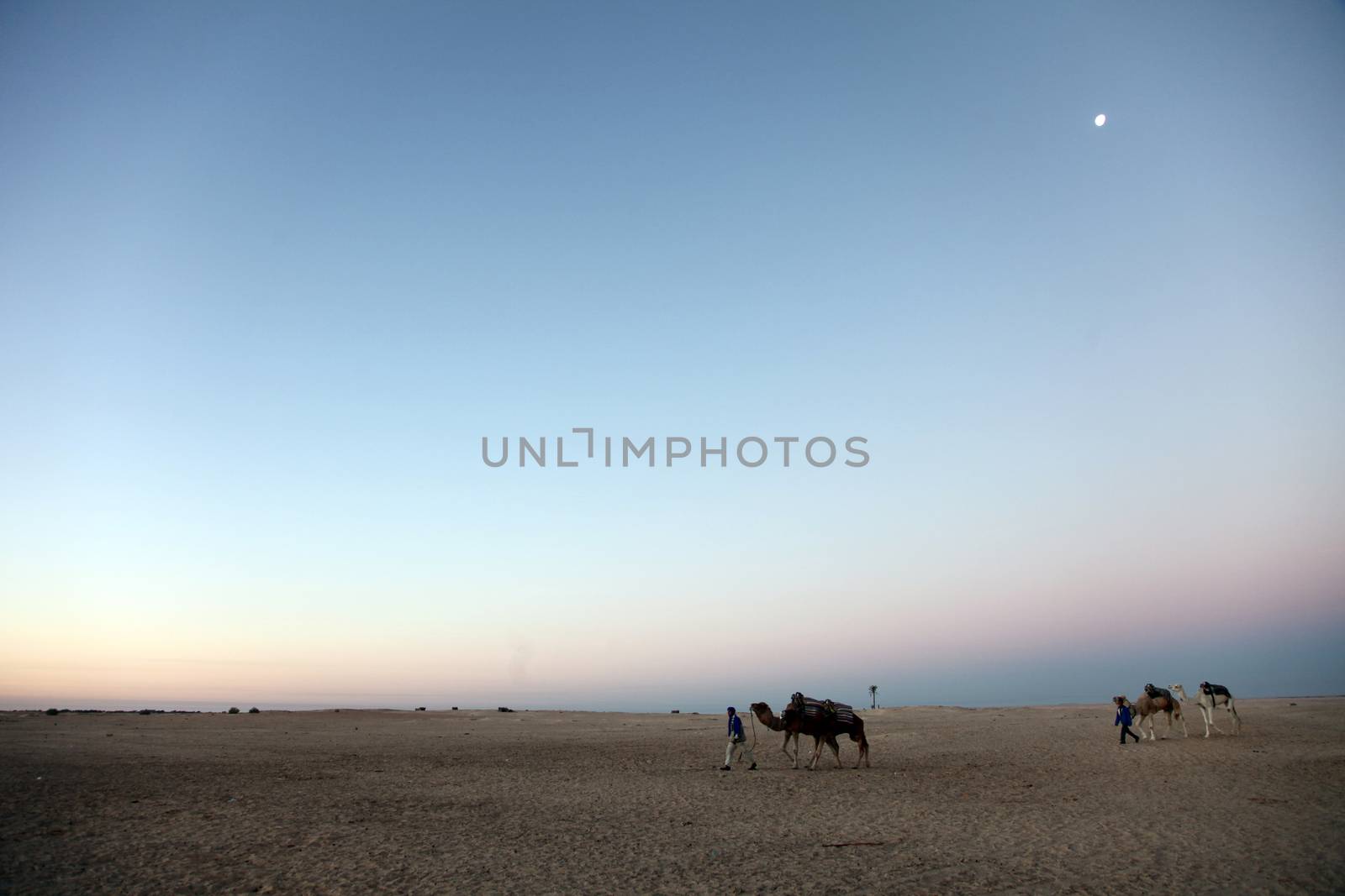 Morning in Sahara desert