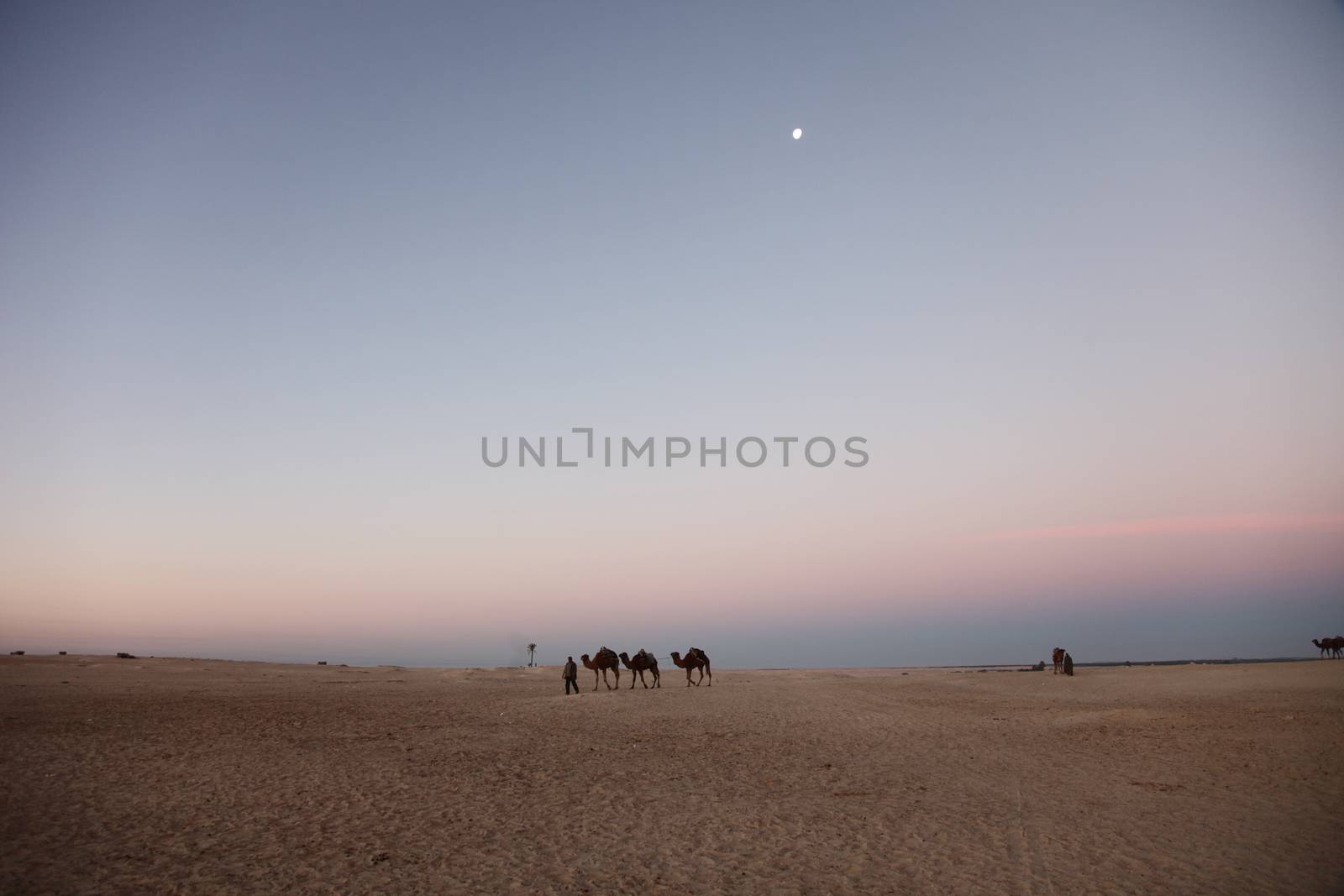 Morning in Sahara desert