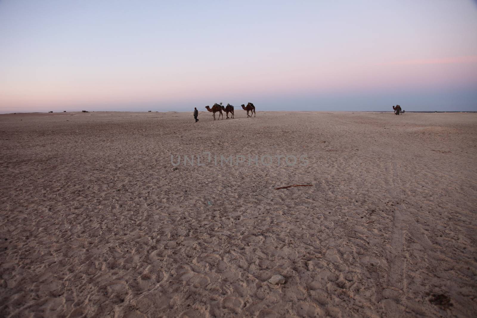 Morning in Sahara desert