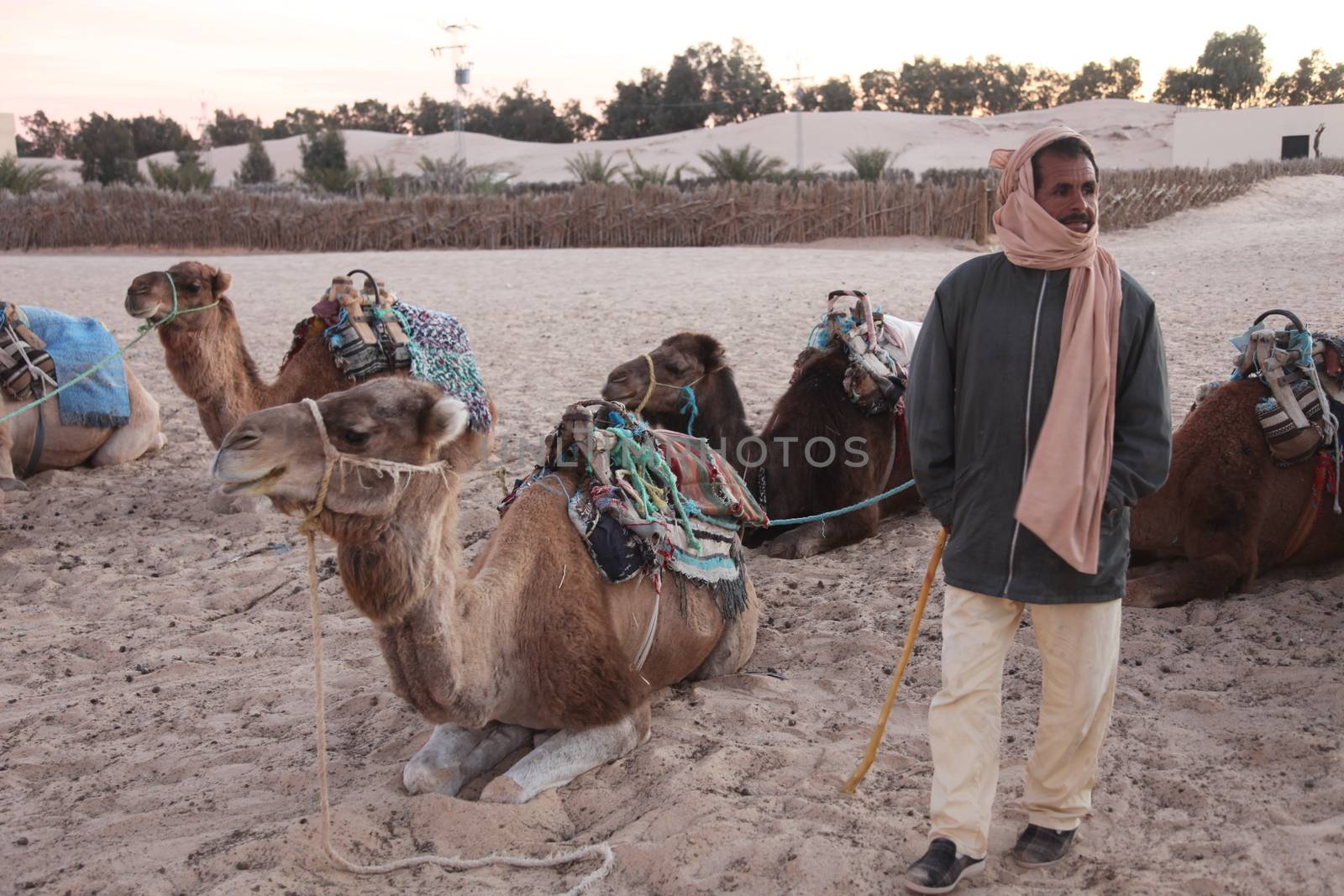 Morning in Sahara desert