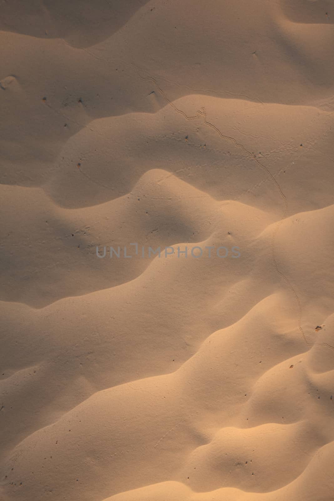 Wind textures on sand in Sahara