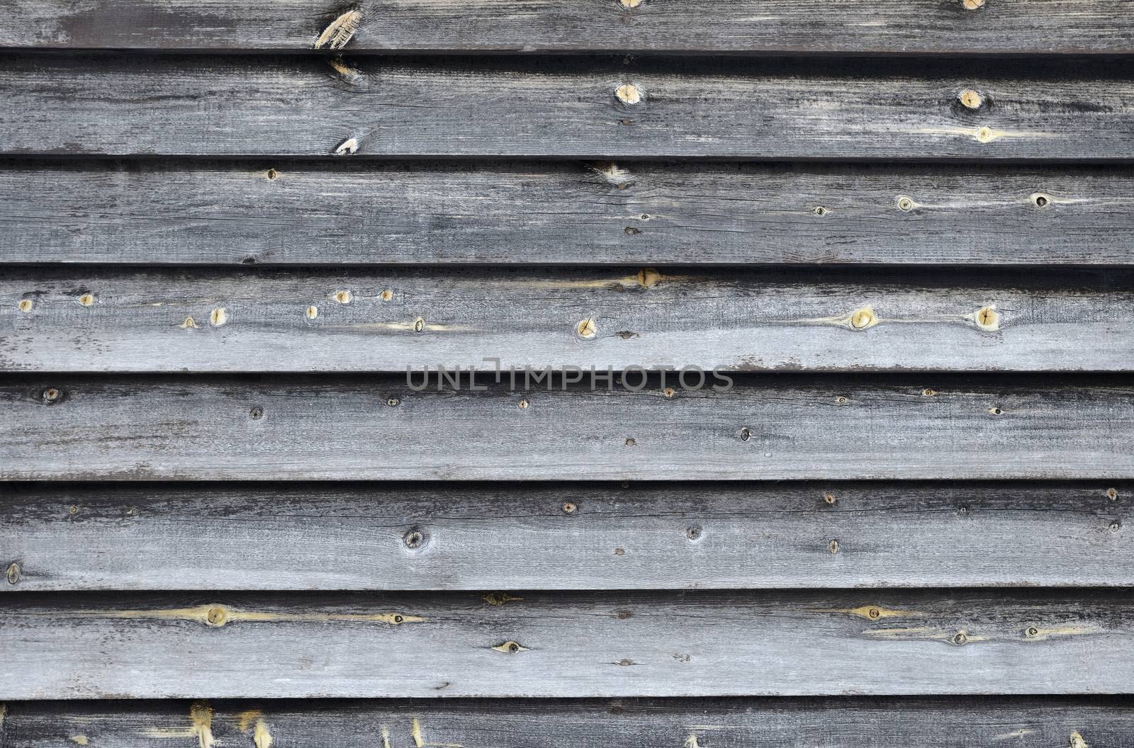 Wood Background Texture. Background of wooden planks
