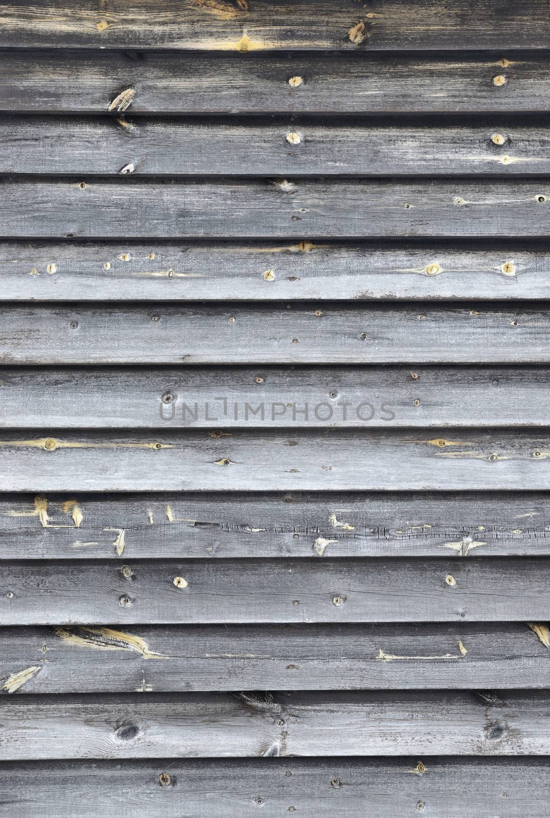Wood Background by a40757