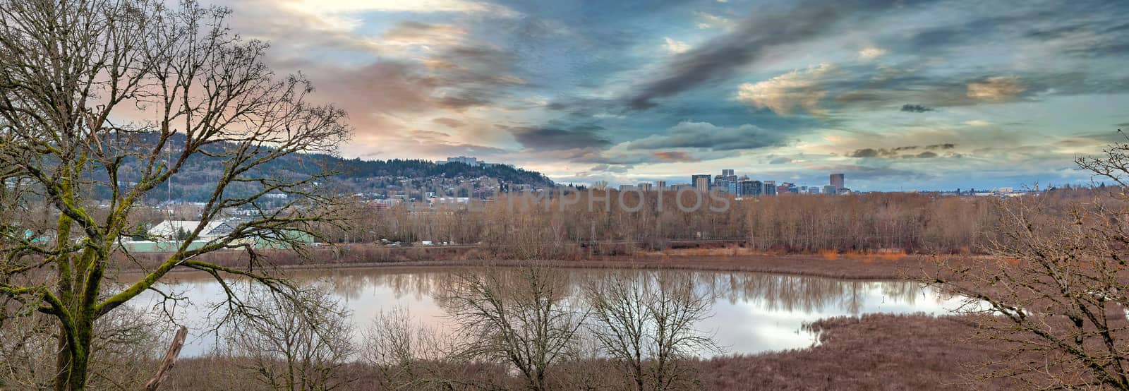 Oaks Bottom Wildlife Refuge with city of Portland Oregon skyline at sunset panorama