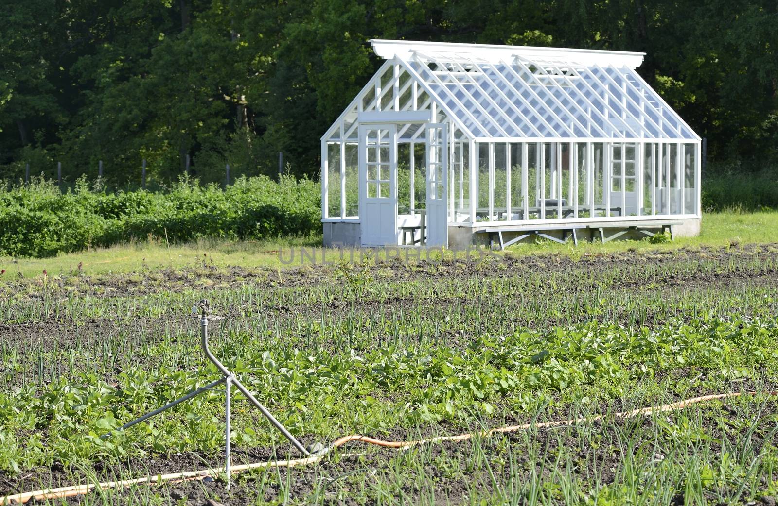 Garden greenhouse by a40757