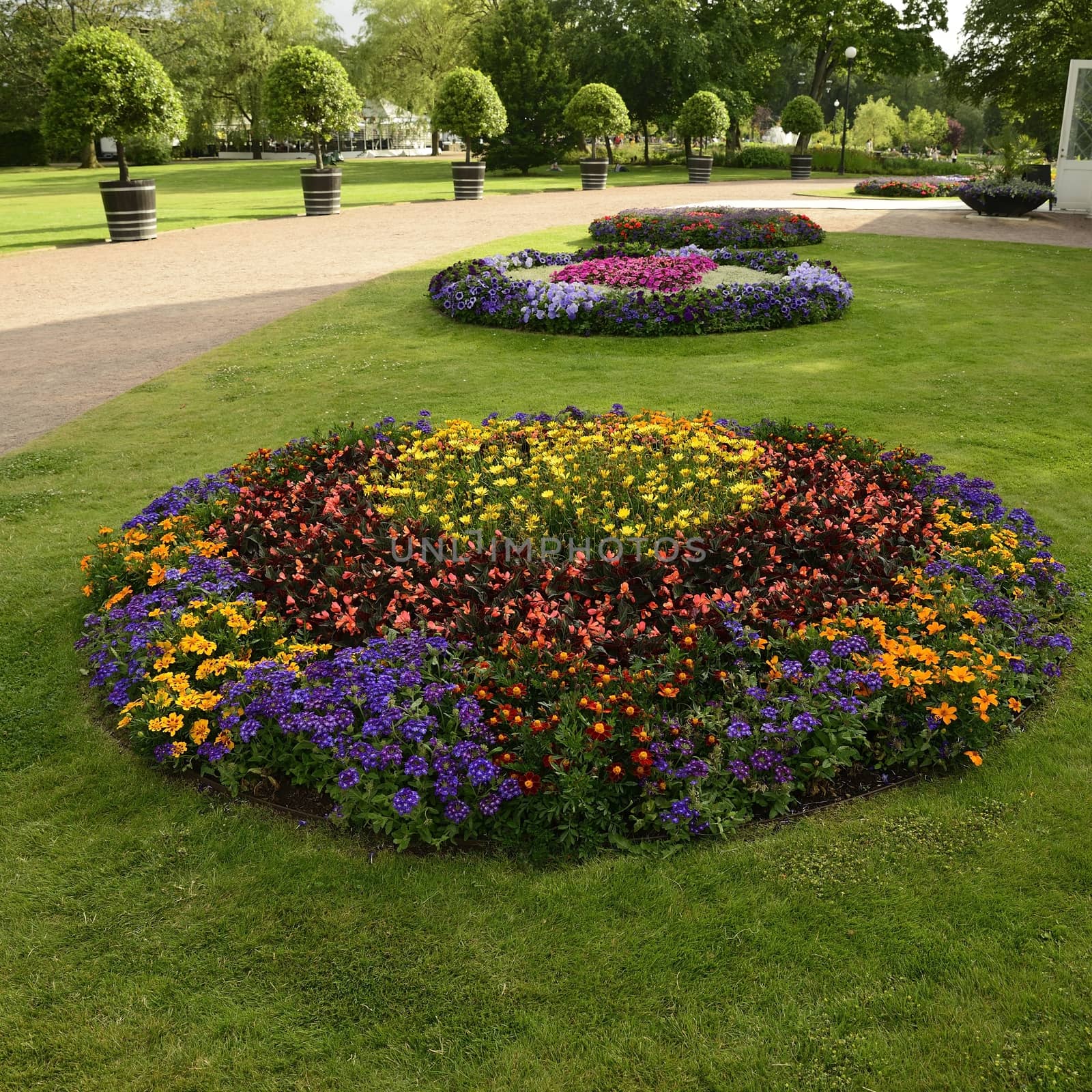 Flowerbed in park by a40757