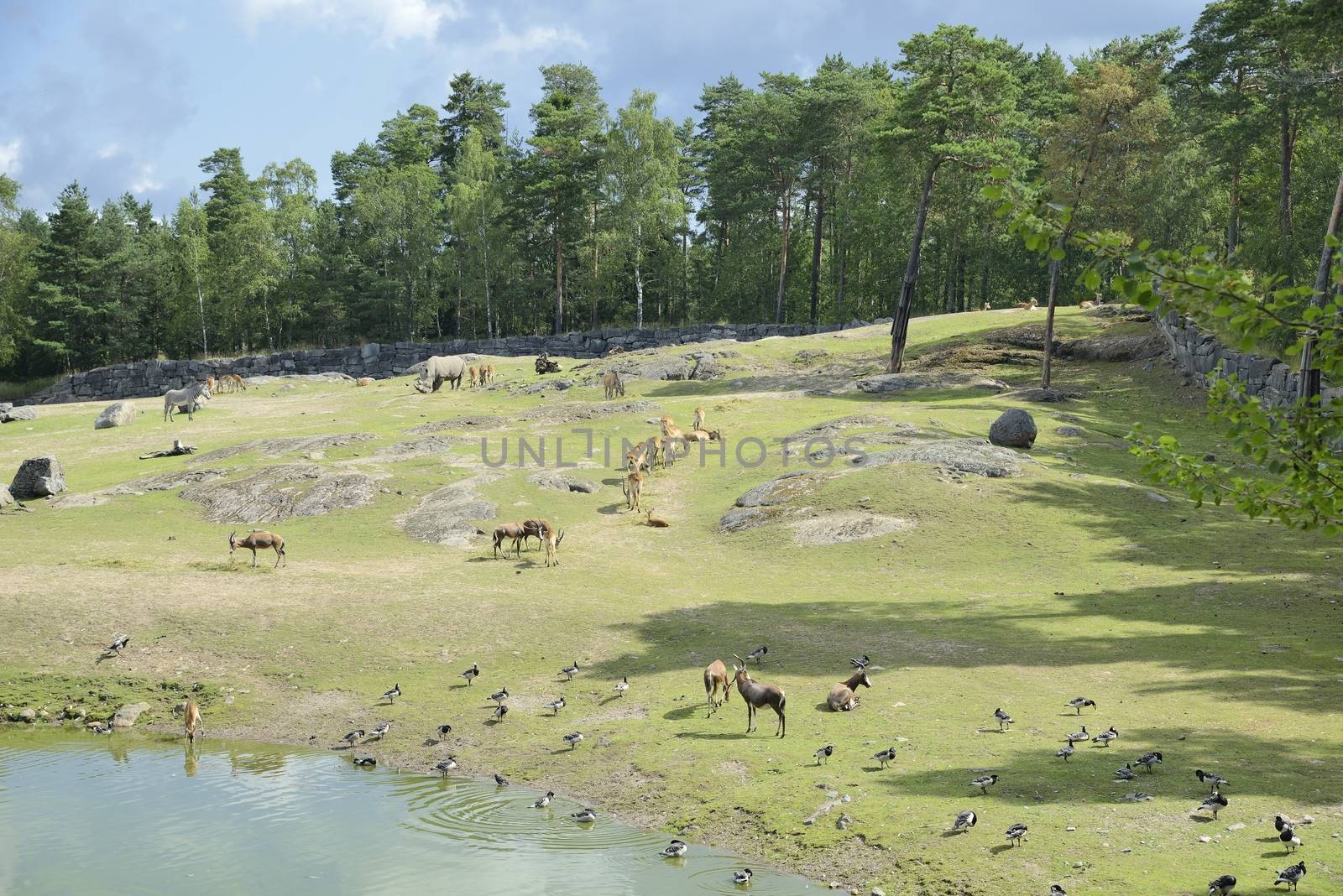 African Animal Exhibit at the Kolmården Zoo Safar