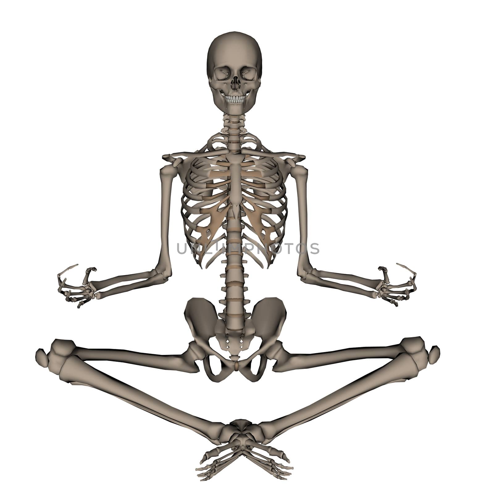 Human skeleton meditation- 3D render by Elenaphotos21
