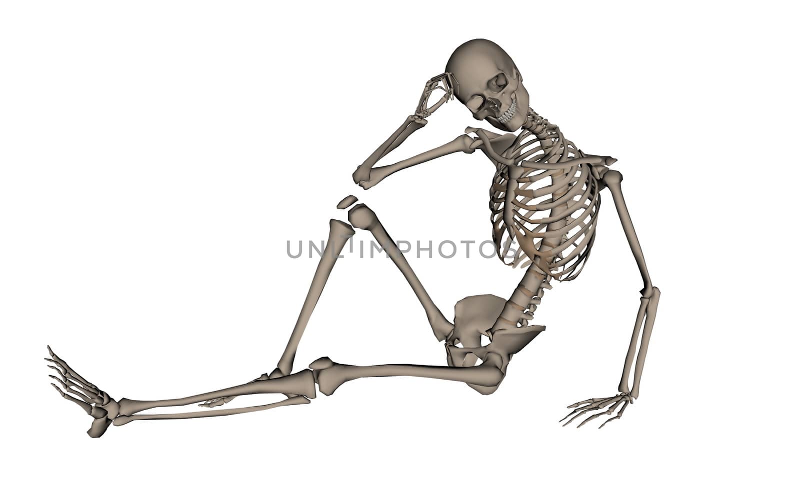 Frontview of handsome human skeleton isolated in white background - 3D render