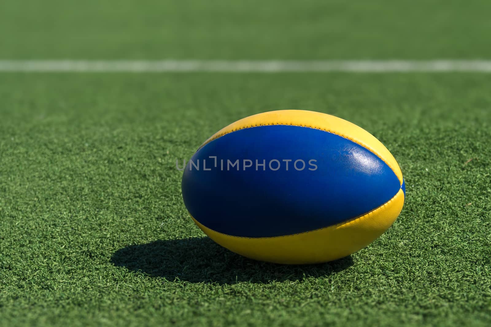 A rugby ball on a synthetic grass in front of the white line.