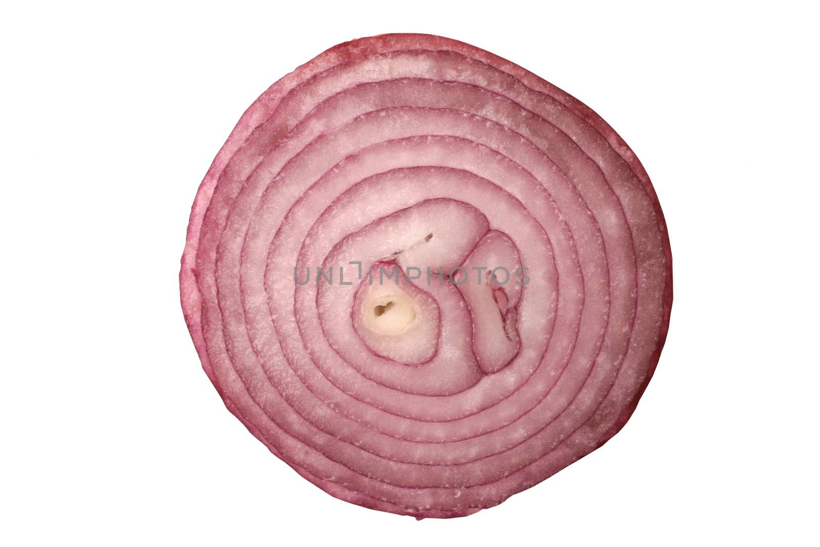 Sliced fresh red onion isolated on white background