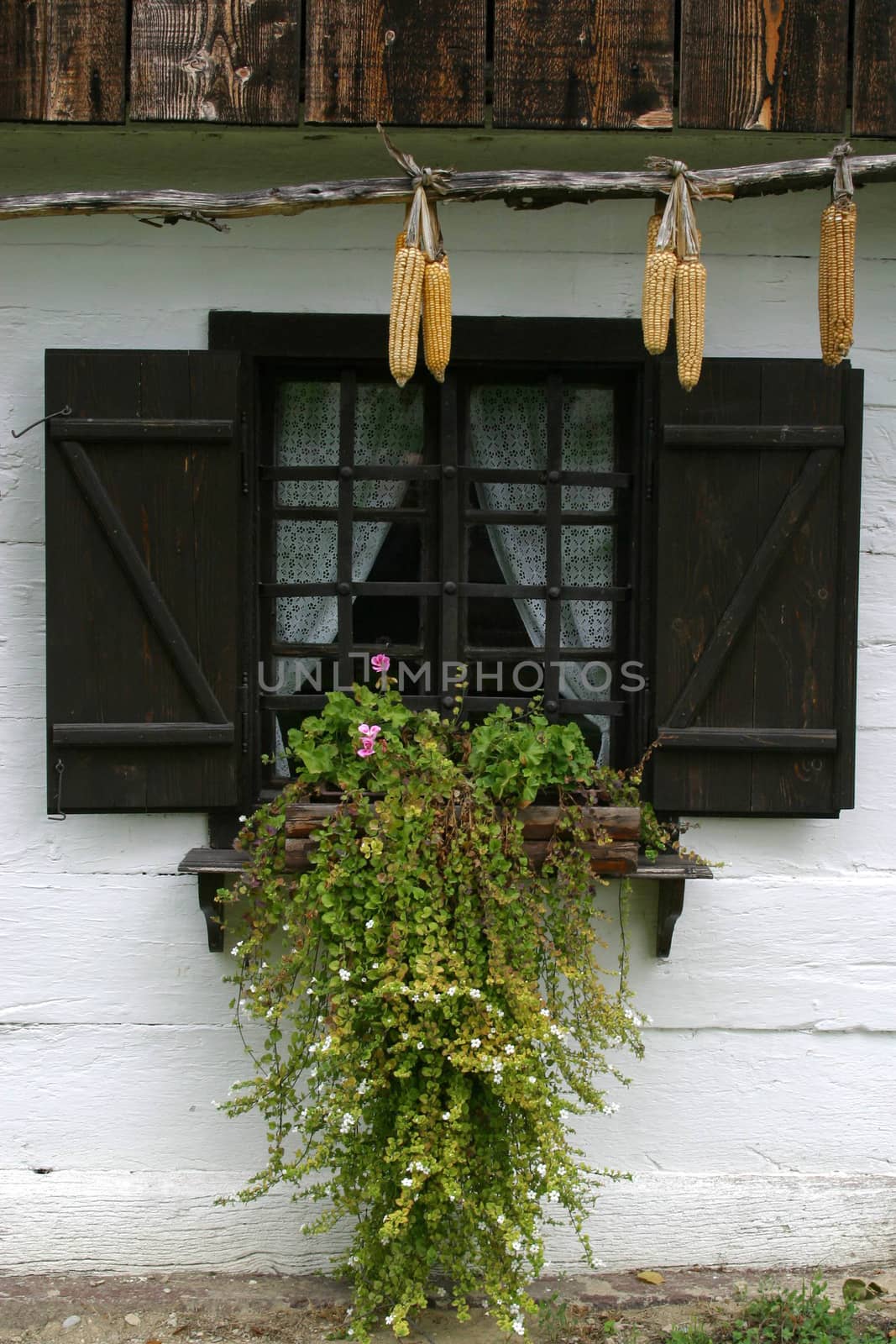 Old country house in central Europe - Croatia