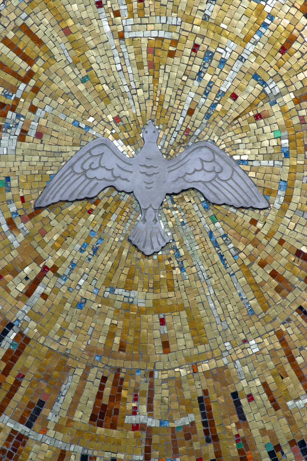 Holy Spirit Bird